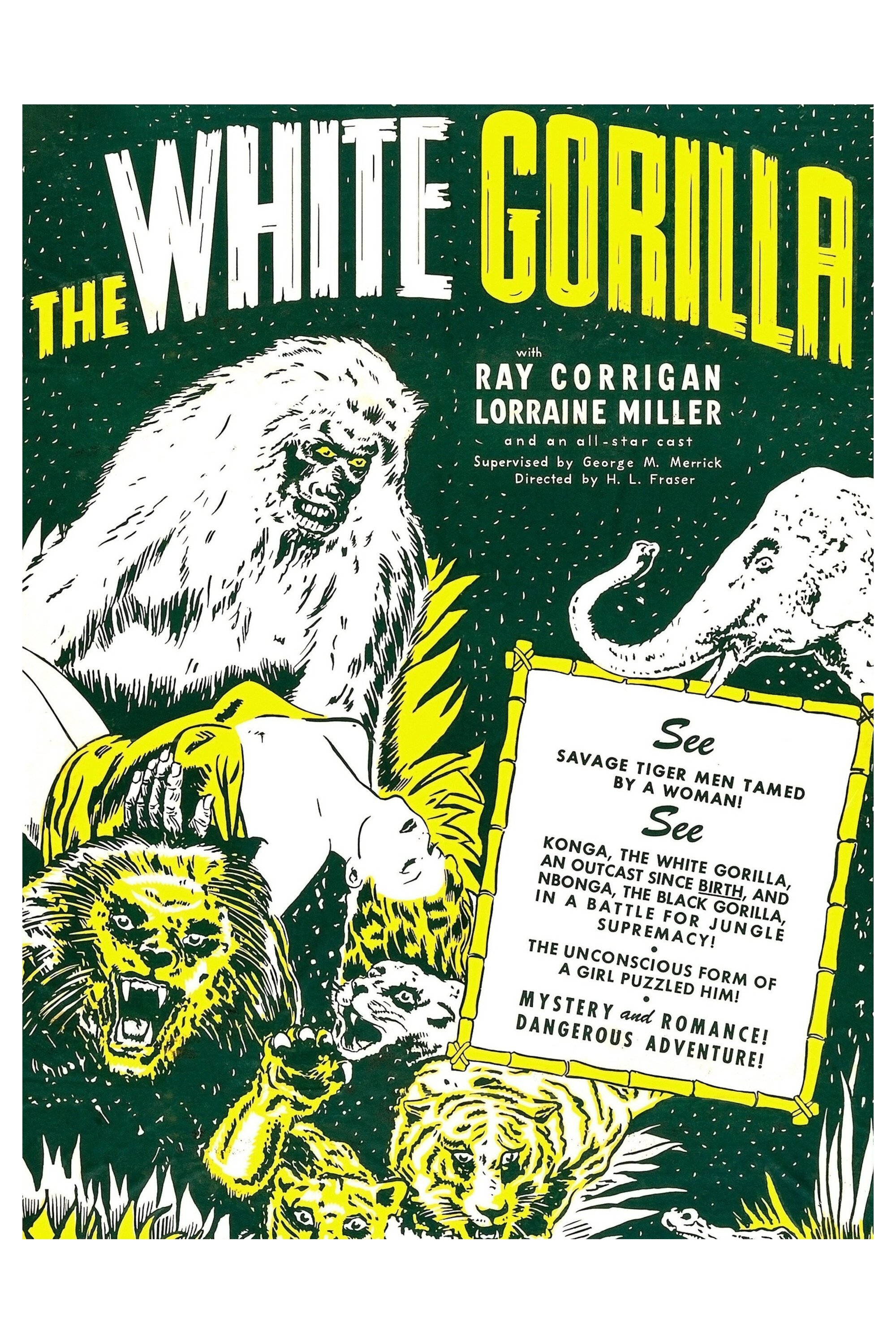The White Gorilla
