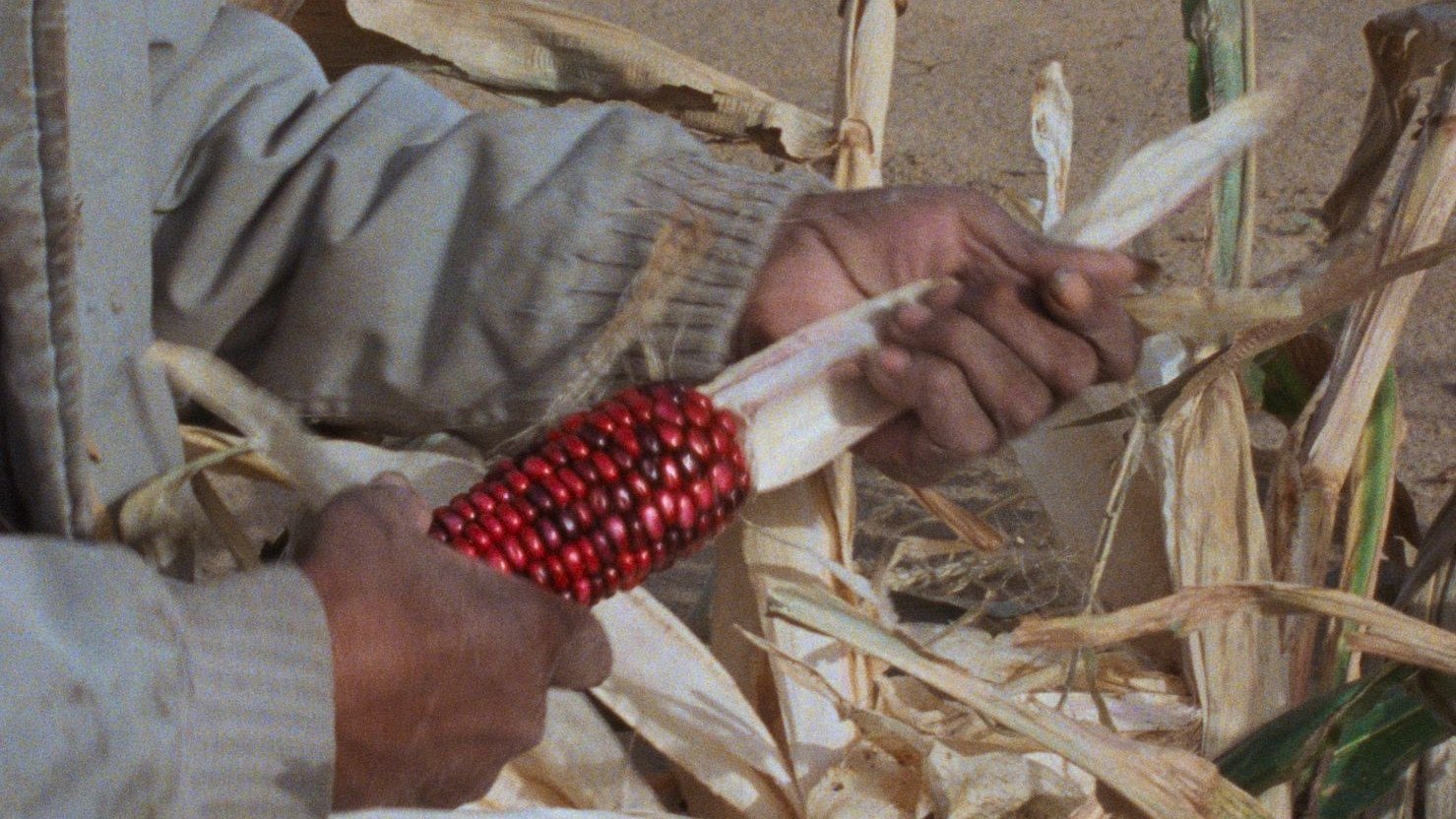 Imagem do Filme Techqua Ikachi, Land – mein Leben