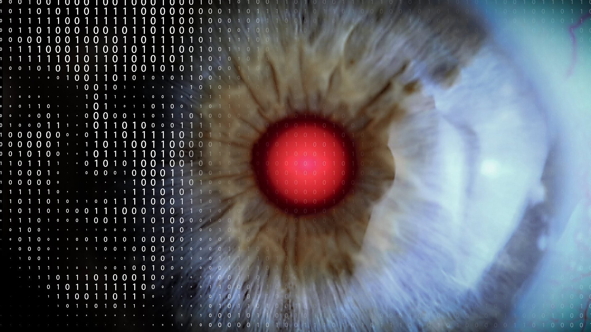 Are You Scared Yet, Human? (2021)
