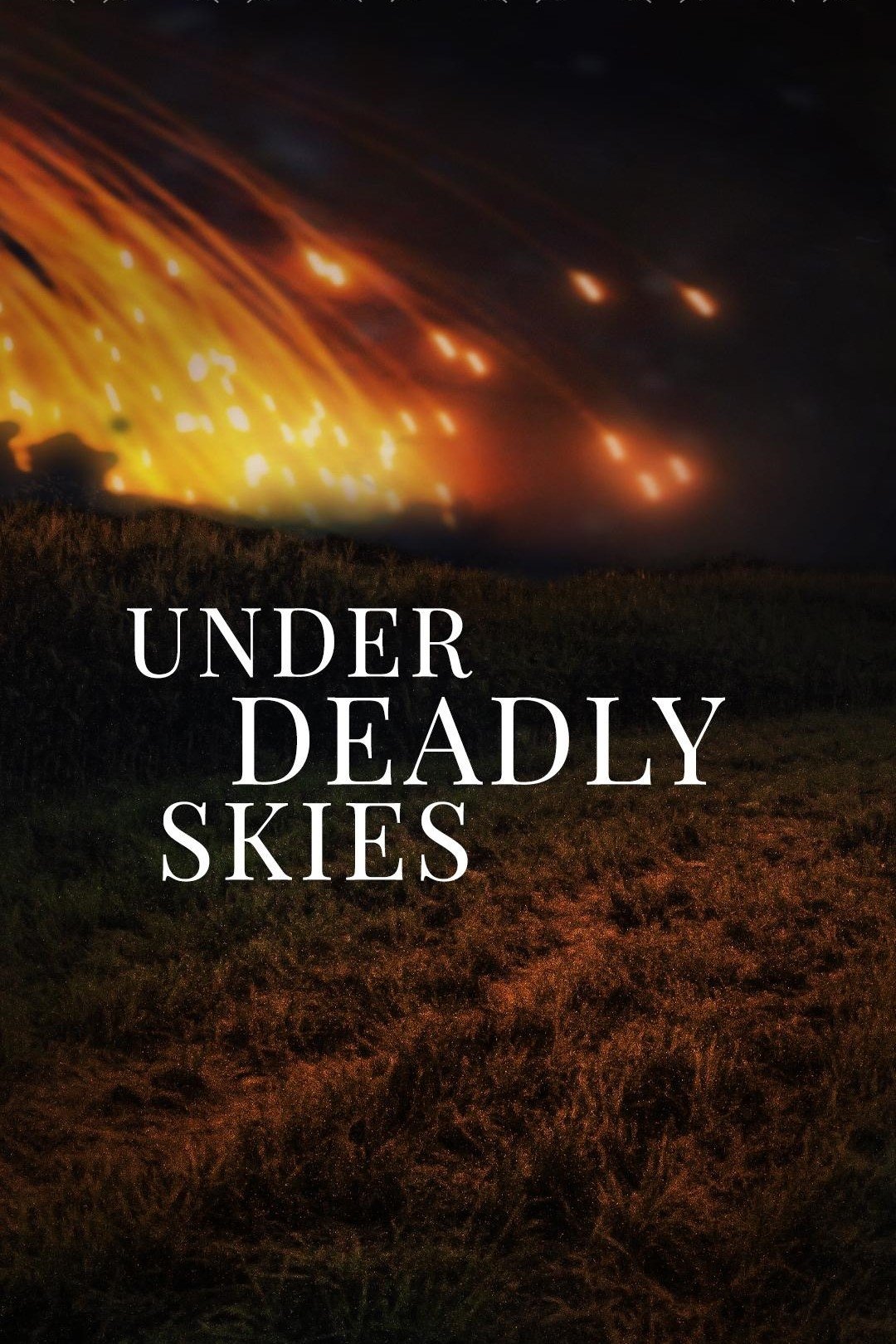 Under Deadly Skies: Ukraine's Eastern Front (2023)