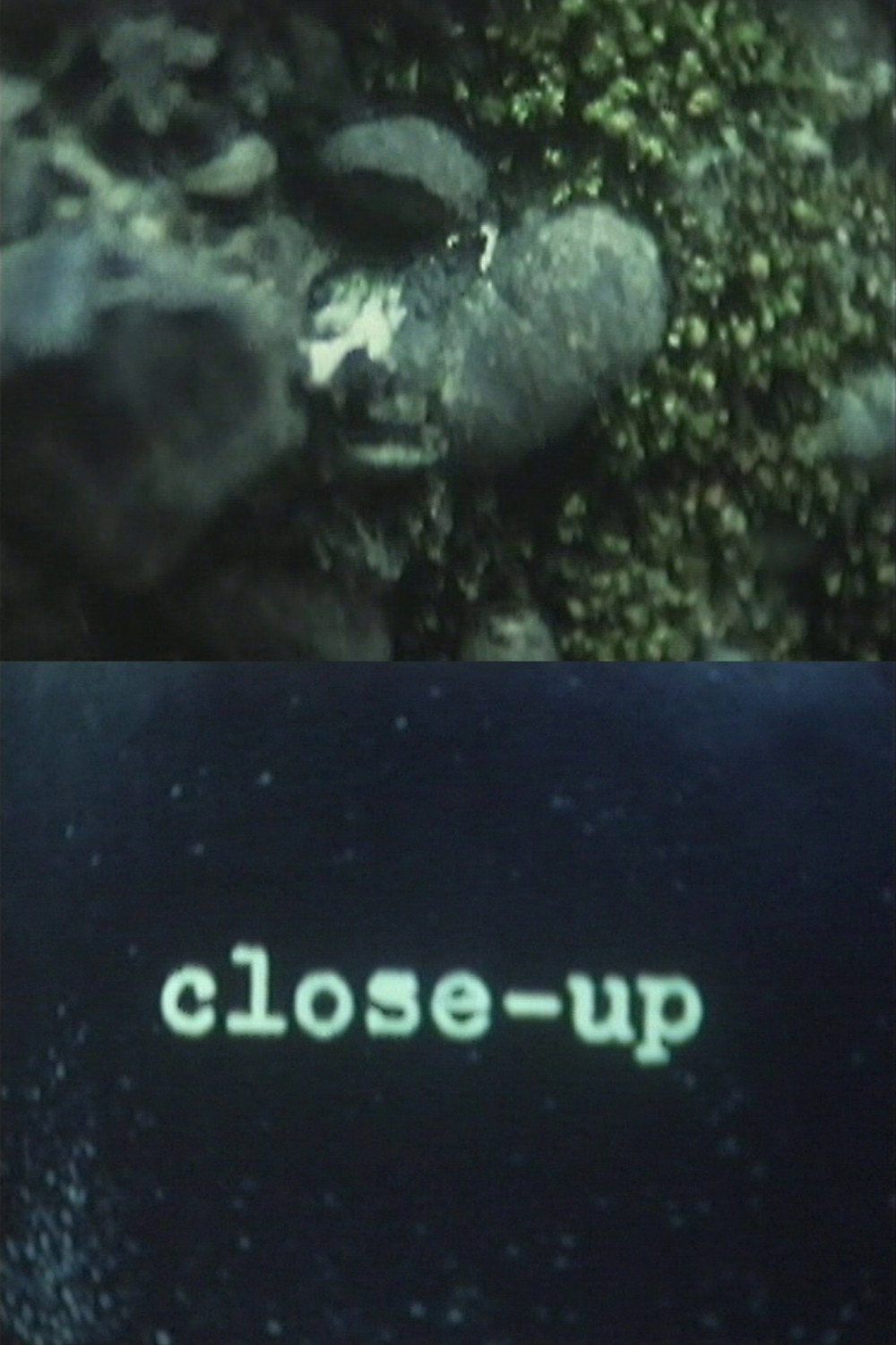 Close-Up Poster