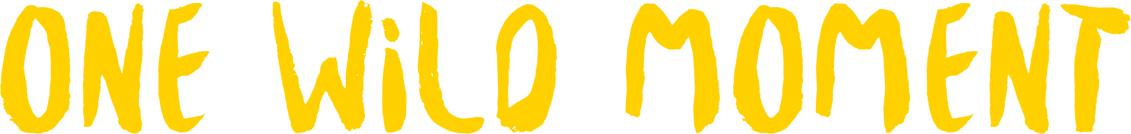 One Wild Moment Logo