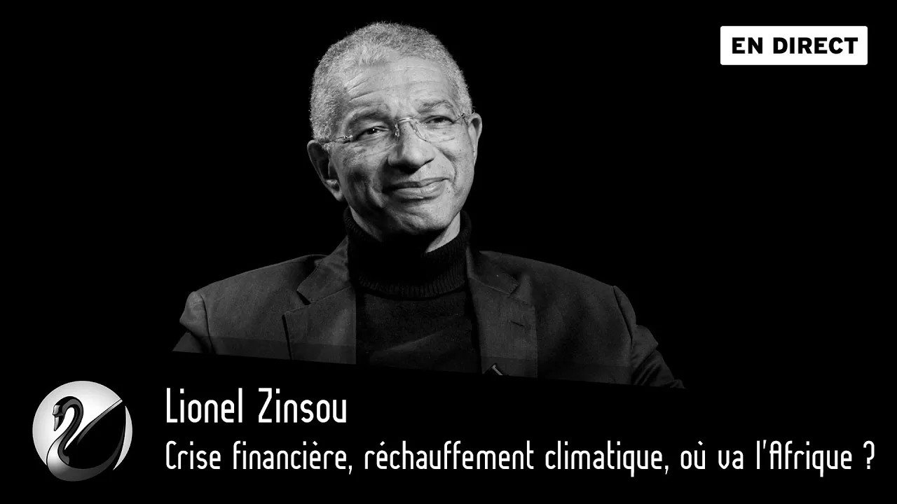 Thinkerview - Crise financière, réchauffement climatique, où va l'Afrique ? Lionel Zinsou
