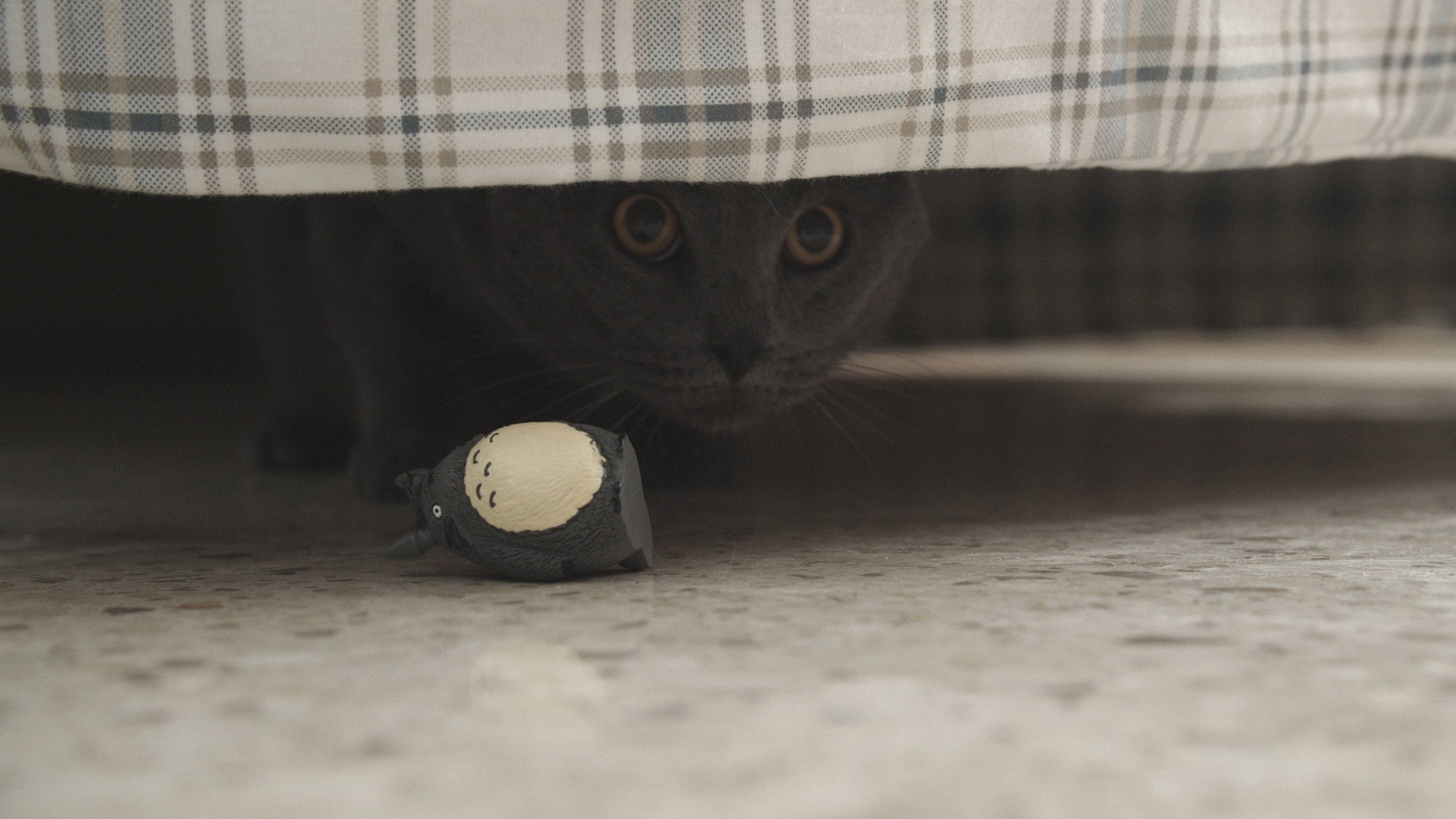 Nibbler banner dorama coreano Netflix