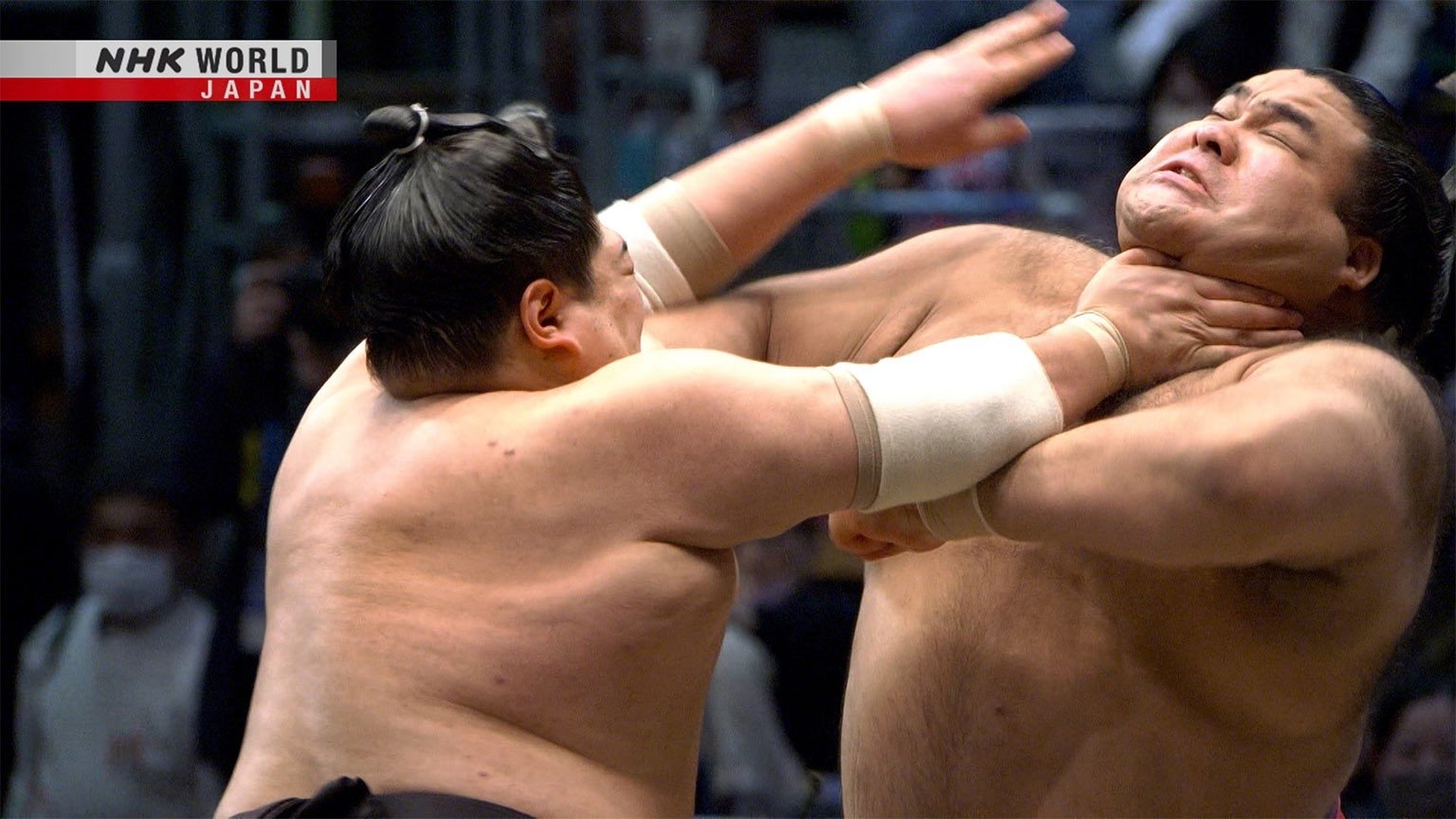 GRAND SUMO Highlights Season 14 :Episode 15  Day 15