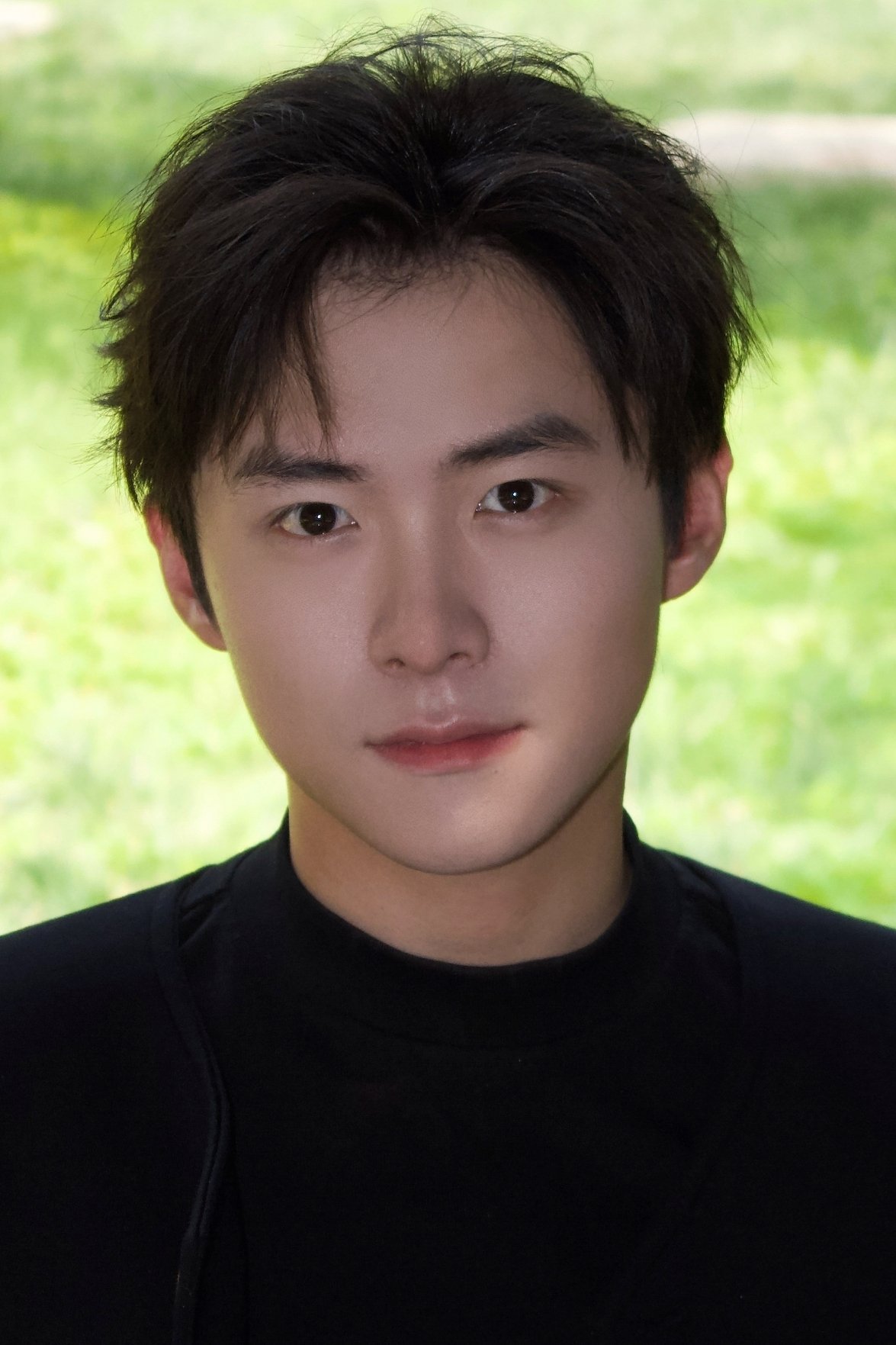 Li Junliang's picture in the cast