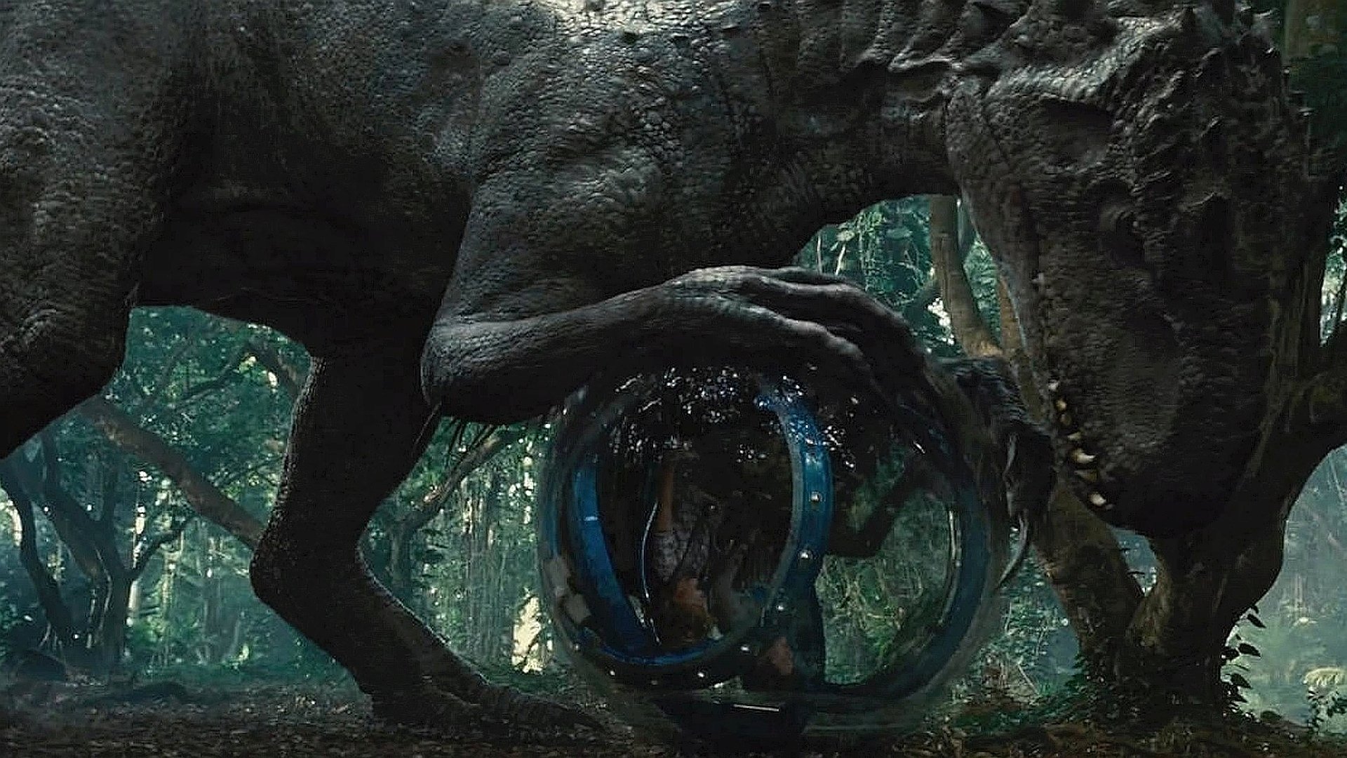 Image du film Jurassic World 5zsrzq1zpyvnqhnekyr1dkq2mixjpg