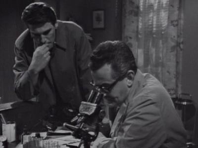 Dark Shadows