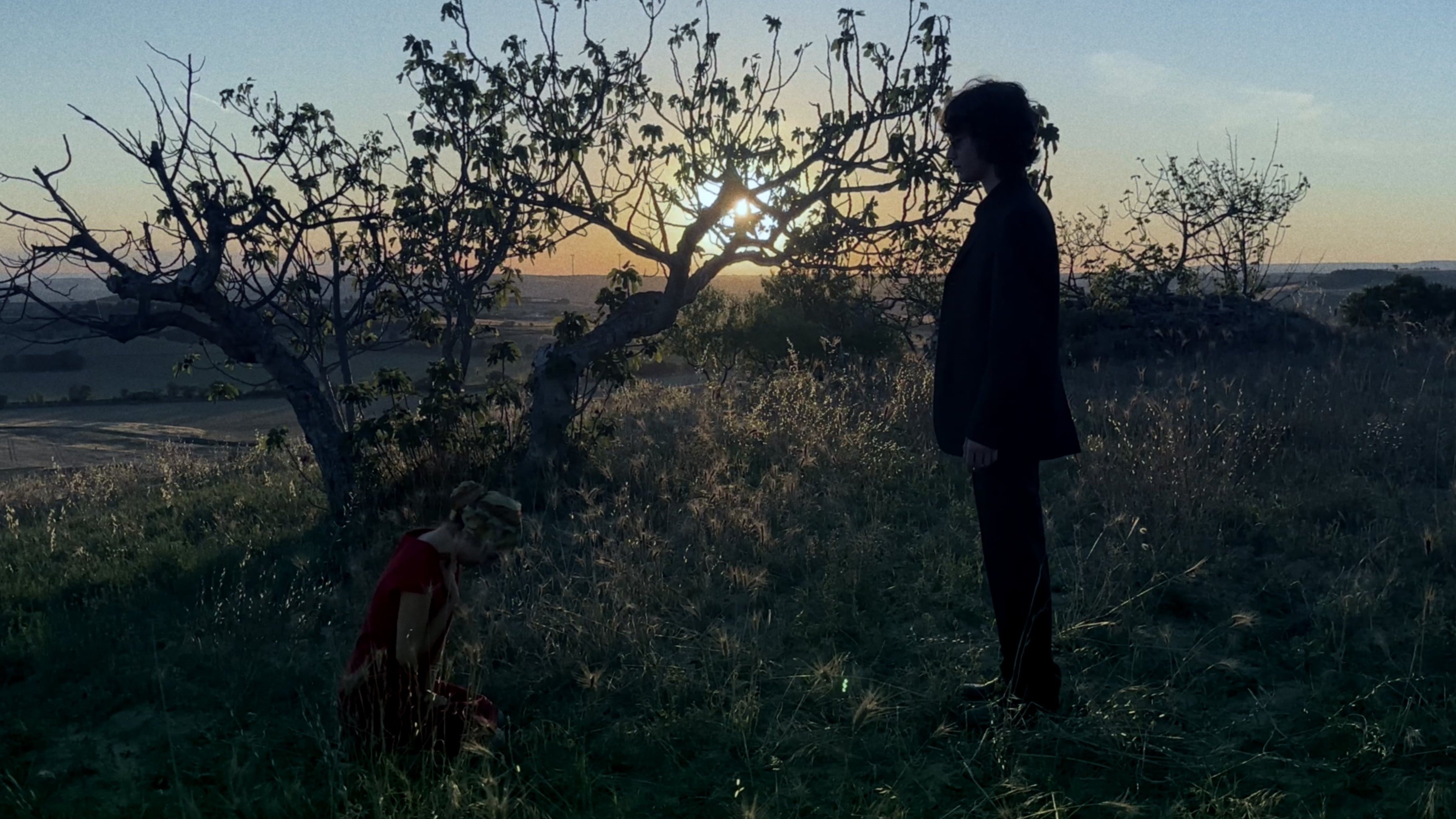 Mother (2024)