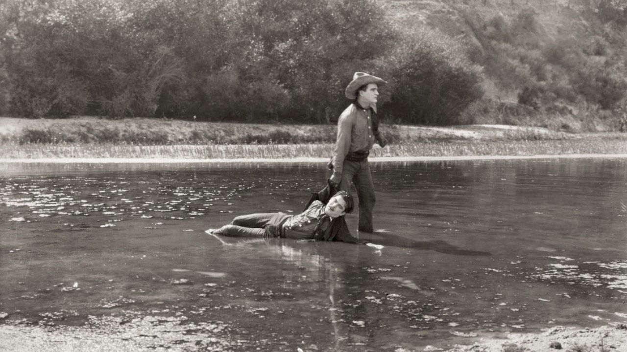 The Meddler (1925)