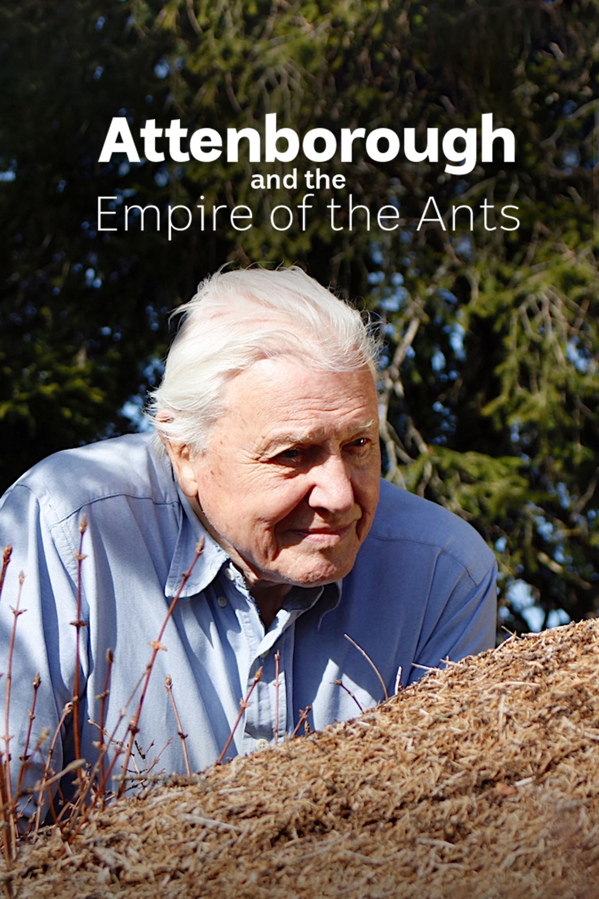Attenborough and the Empire of the Ants