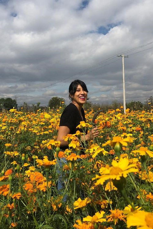 et billede af Idalia ME