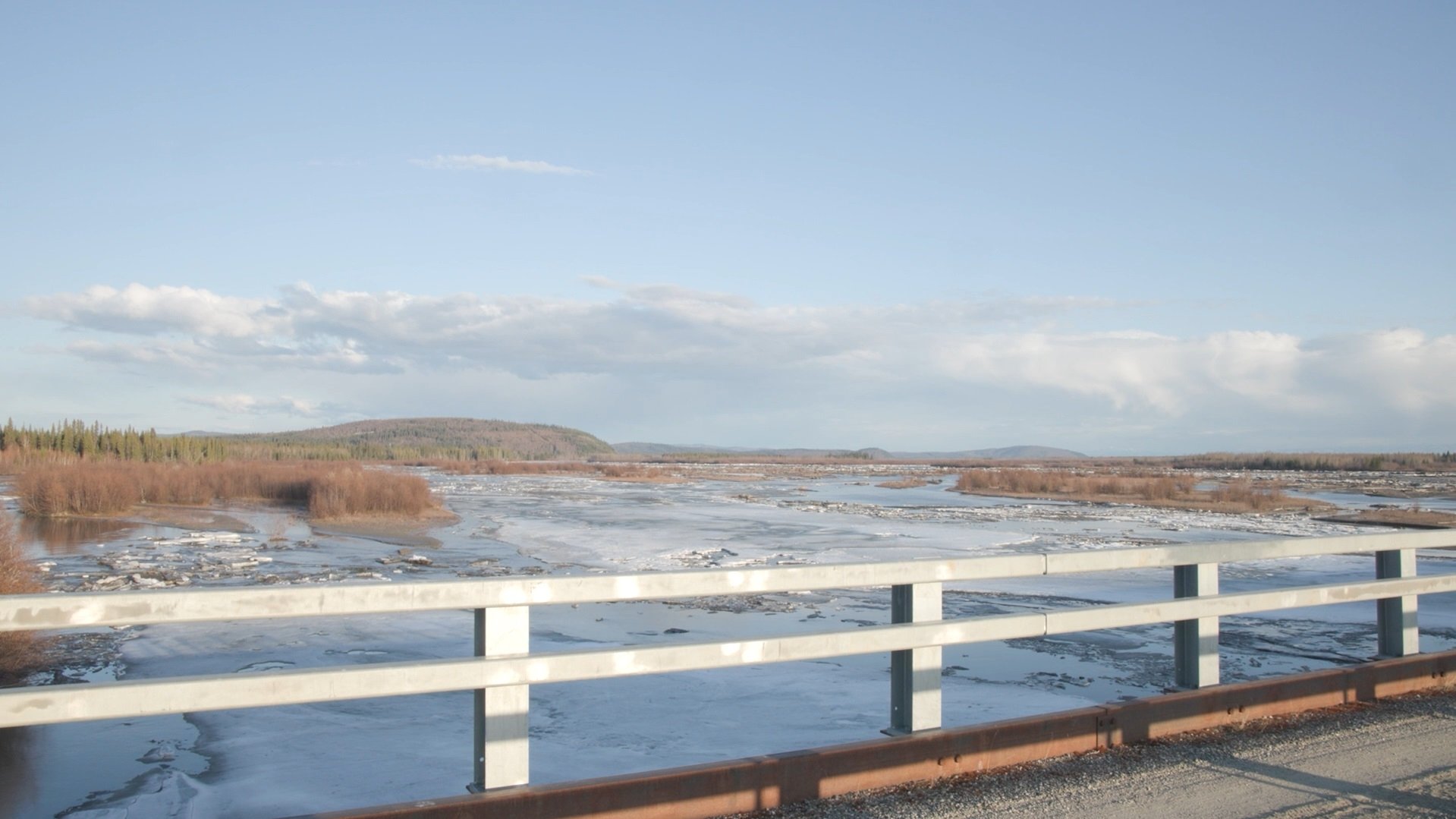 The Story of a Slough (2024)