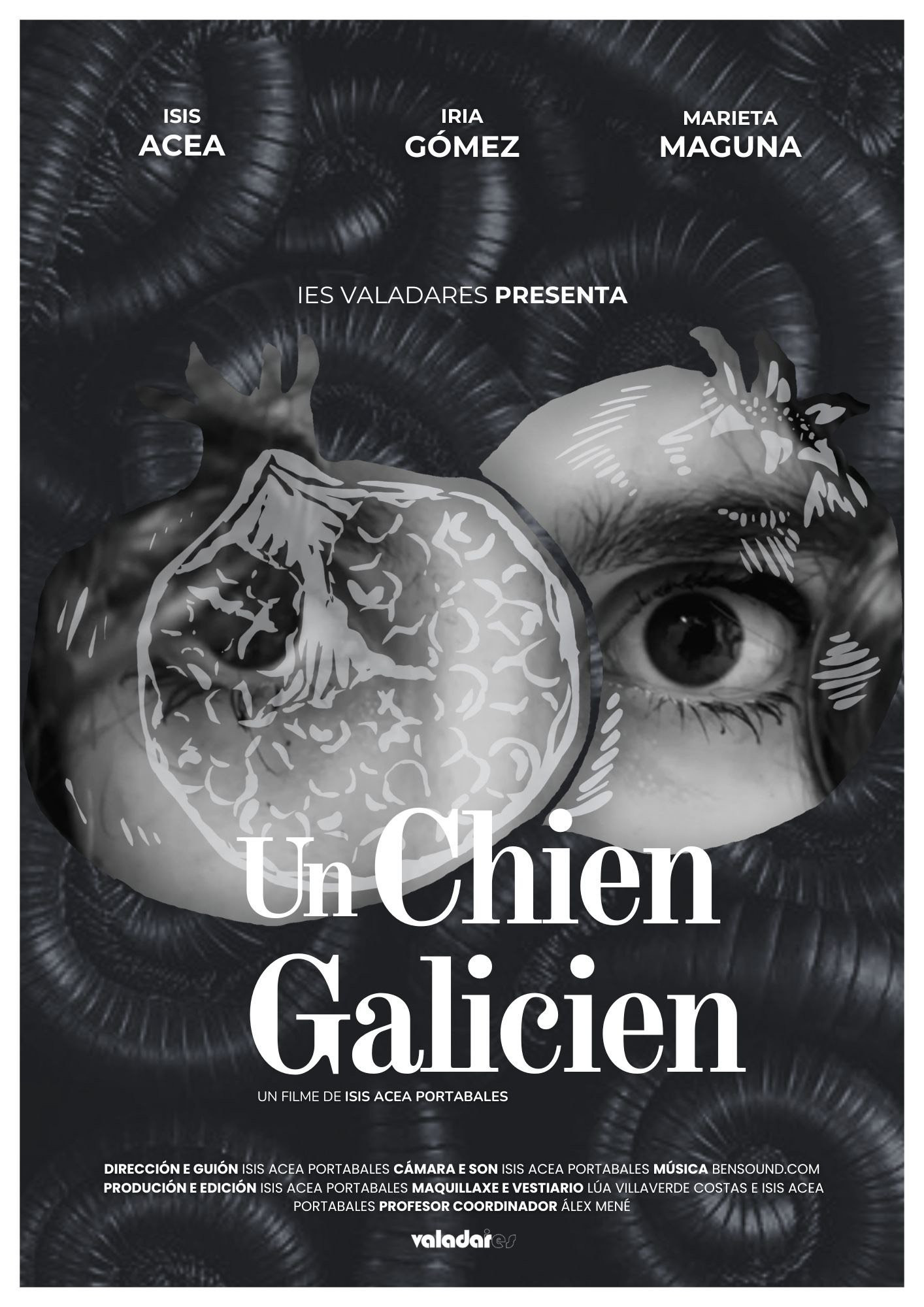 Un chien galicien