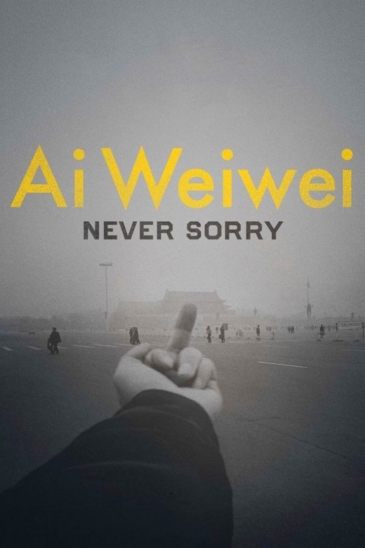 Affiche du film Ai Weiwei : Never Sorry 135230