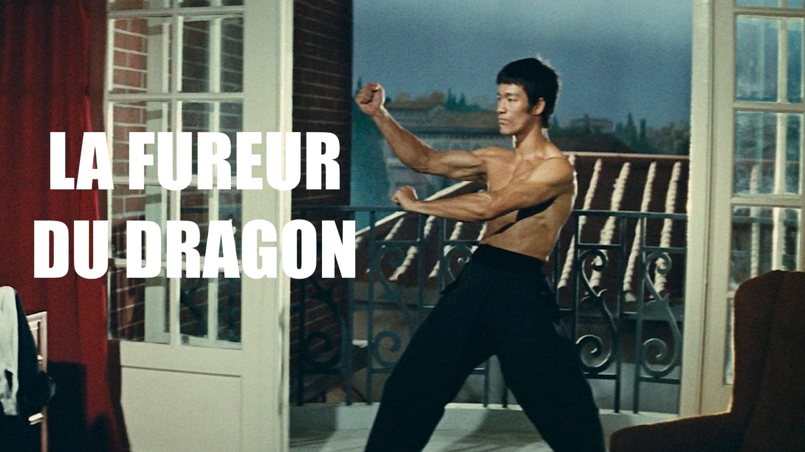 La Fureur du dragon