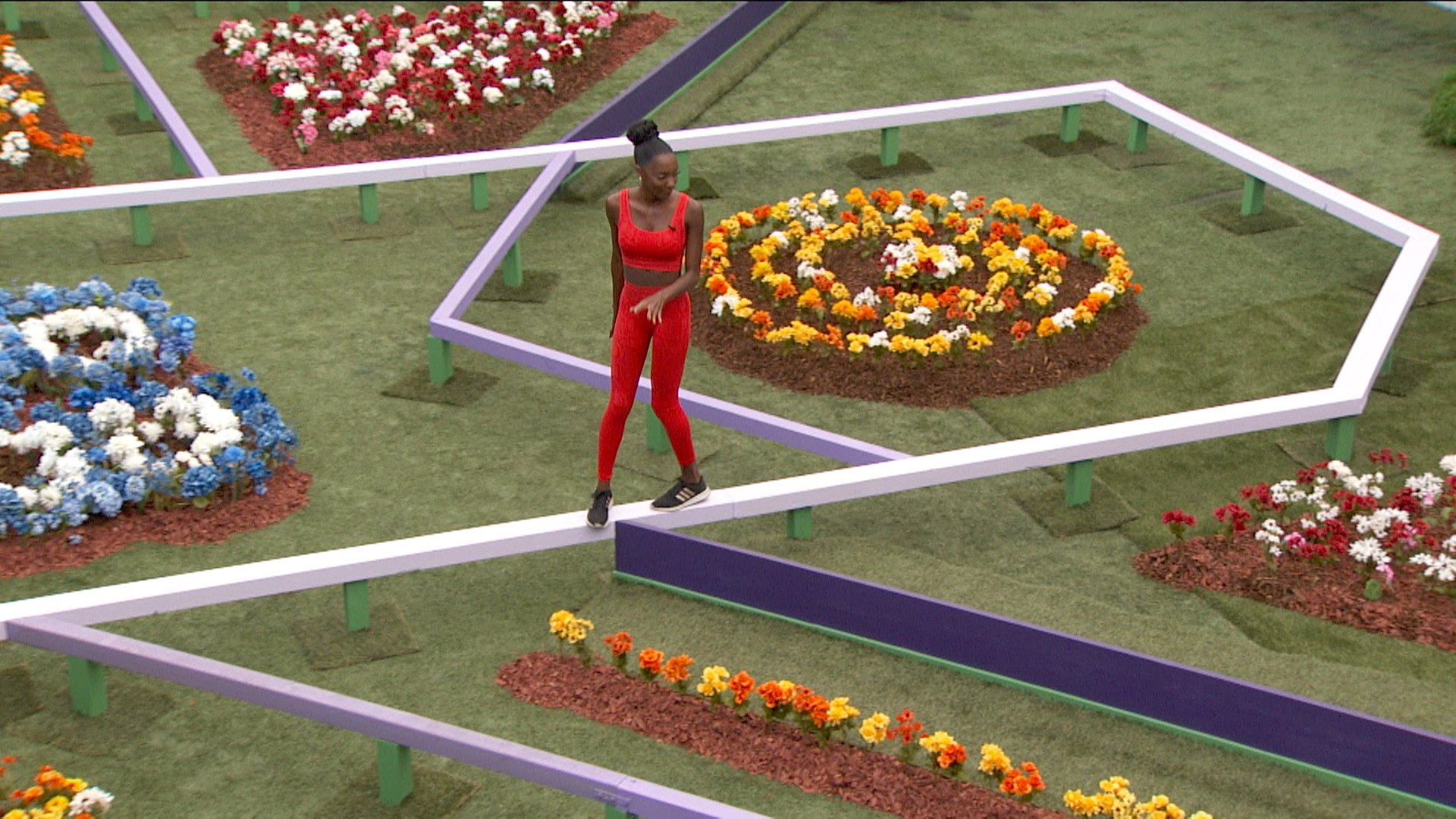 Big Brother - Épisode 19
