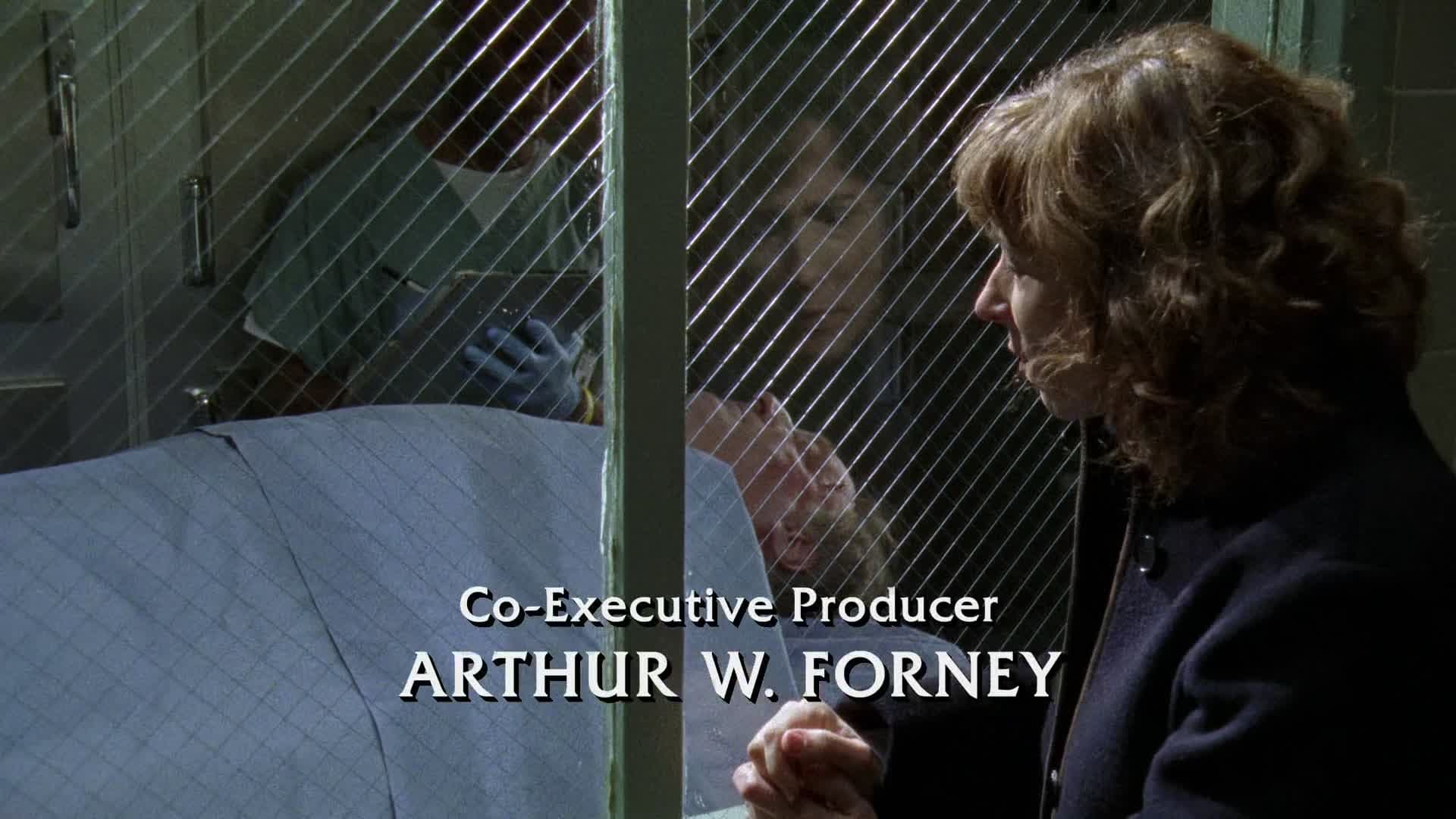 Law & Order Season 18 :Episode 9  Executioner