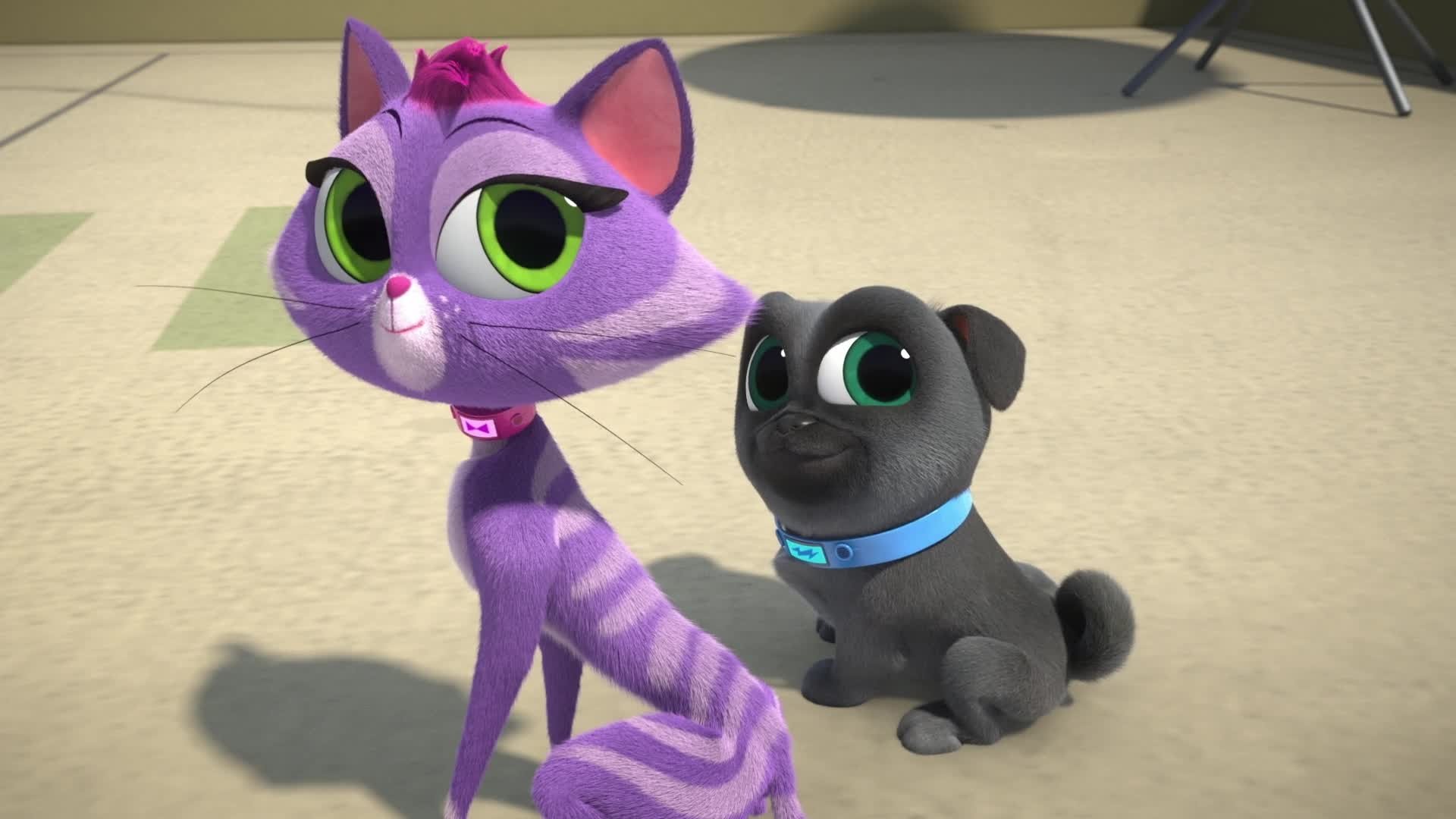 Puppy Dog Pals