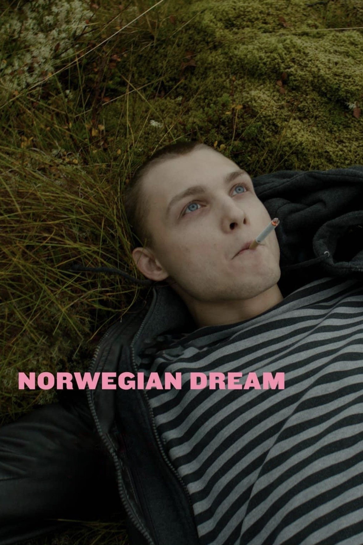 Norwegian Dream
