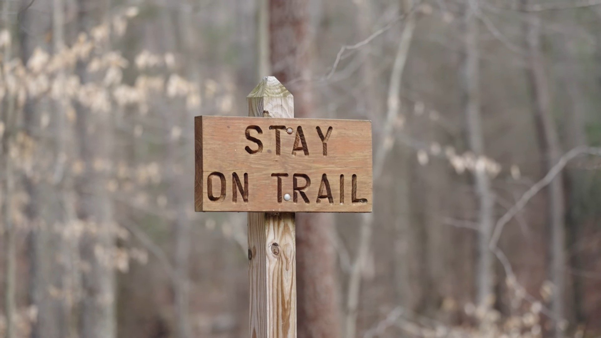 #17 - To Finish The Barkley Marathons (2024)