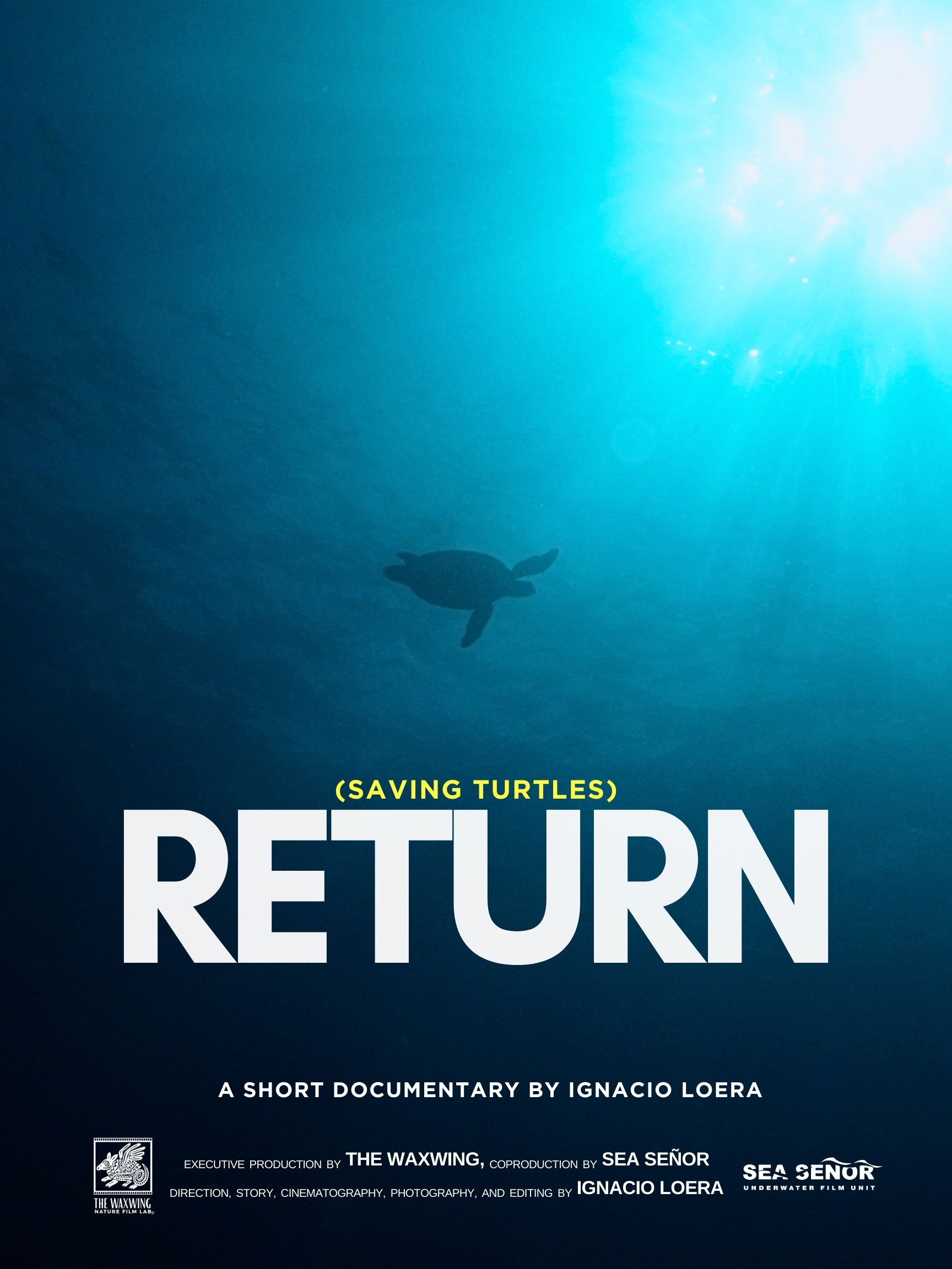 Return: Saving Turtles