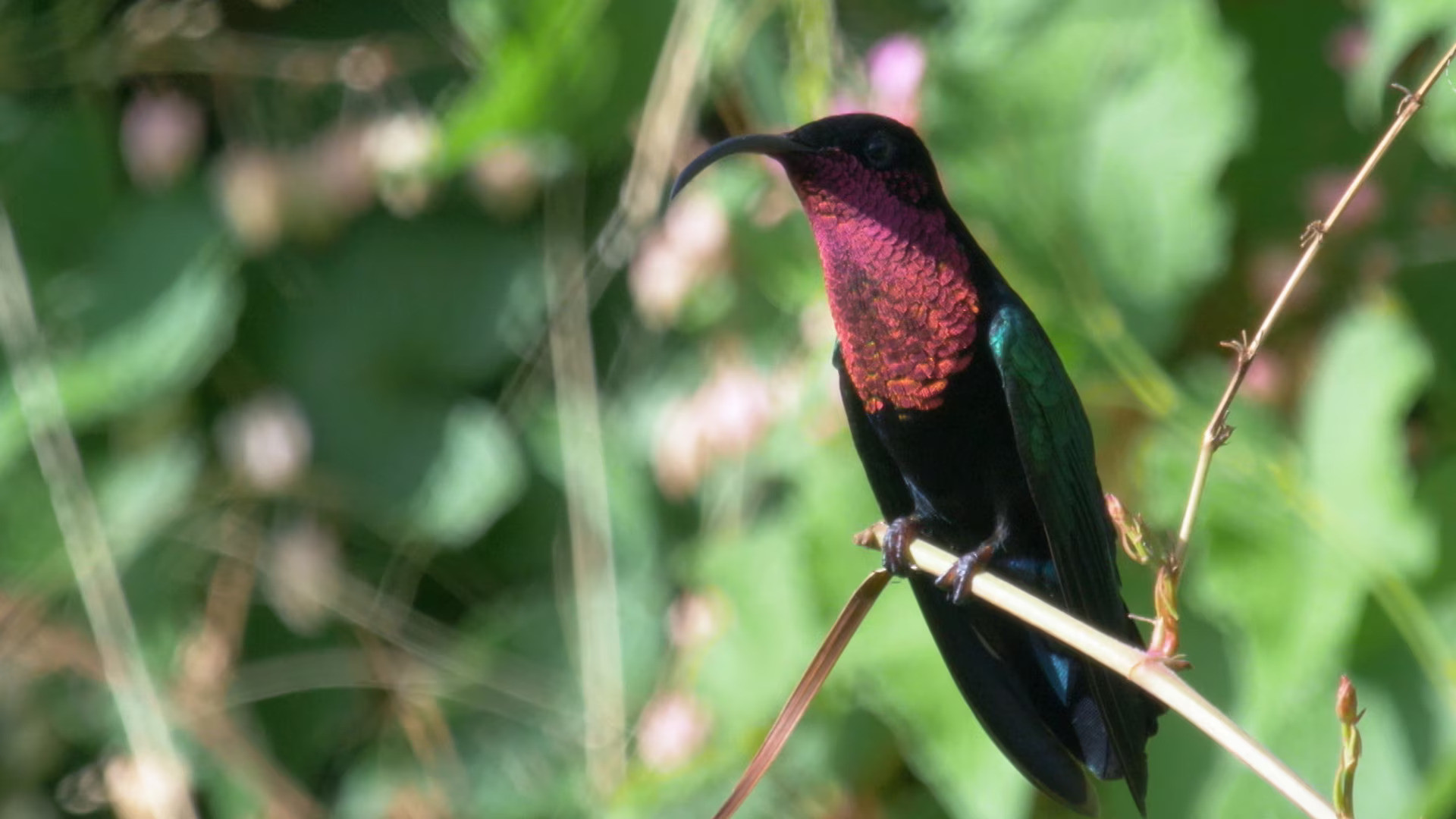 Earth Odyssey with Dylan Dreyer S06E17 backdrop