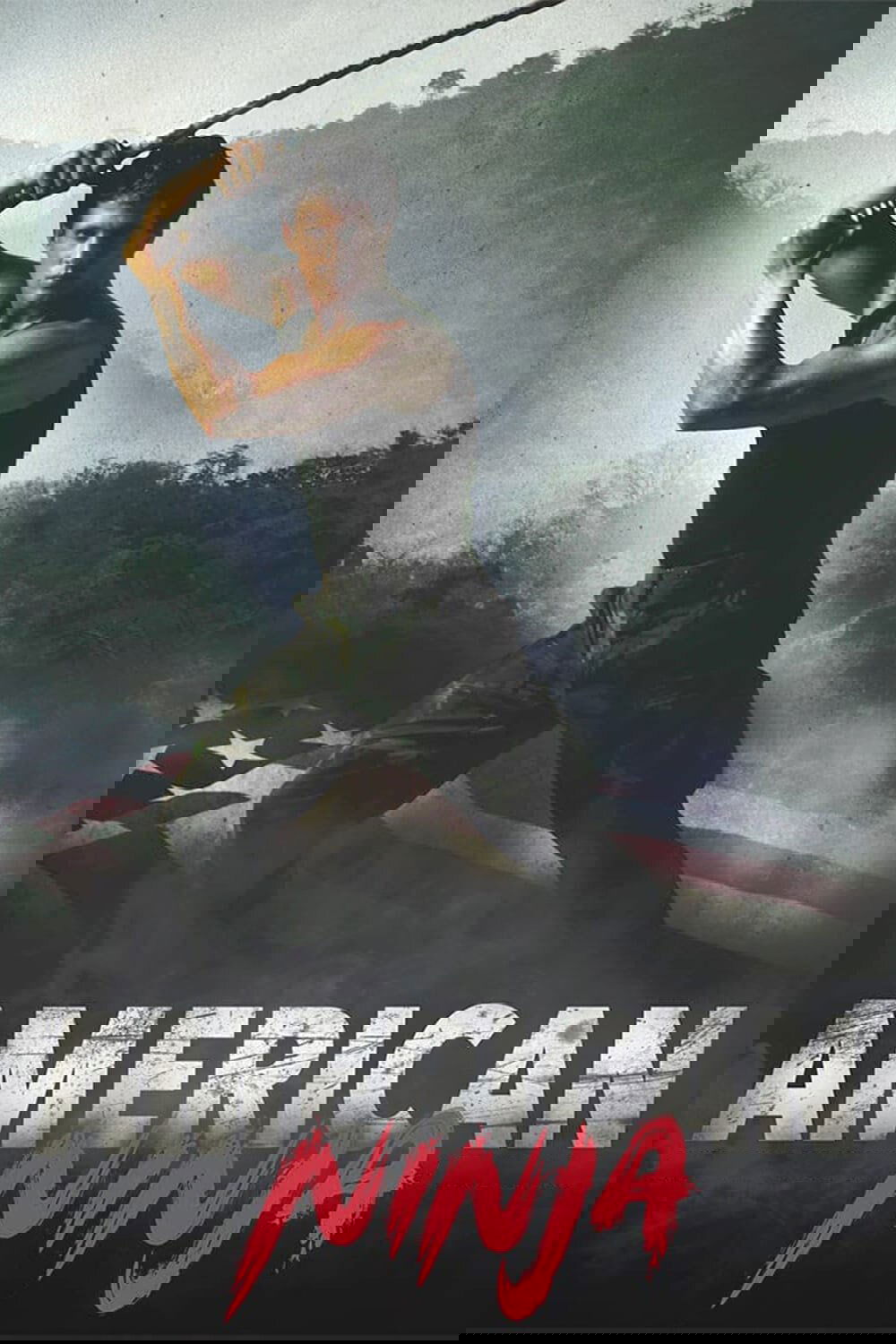 American Ninja poster image