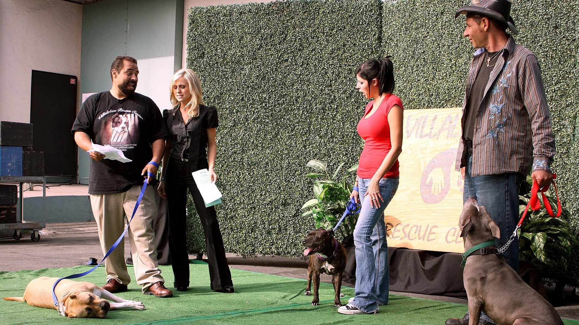Pit Bulls and Parolees