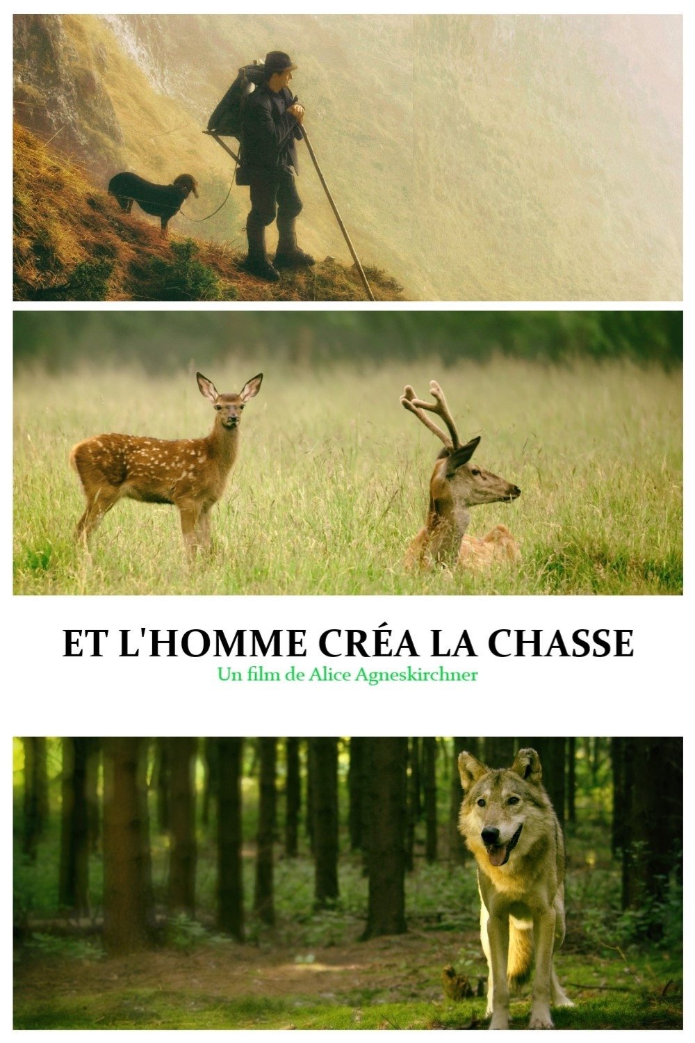 Movie image of : Et l'homme créa la chasse