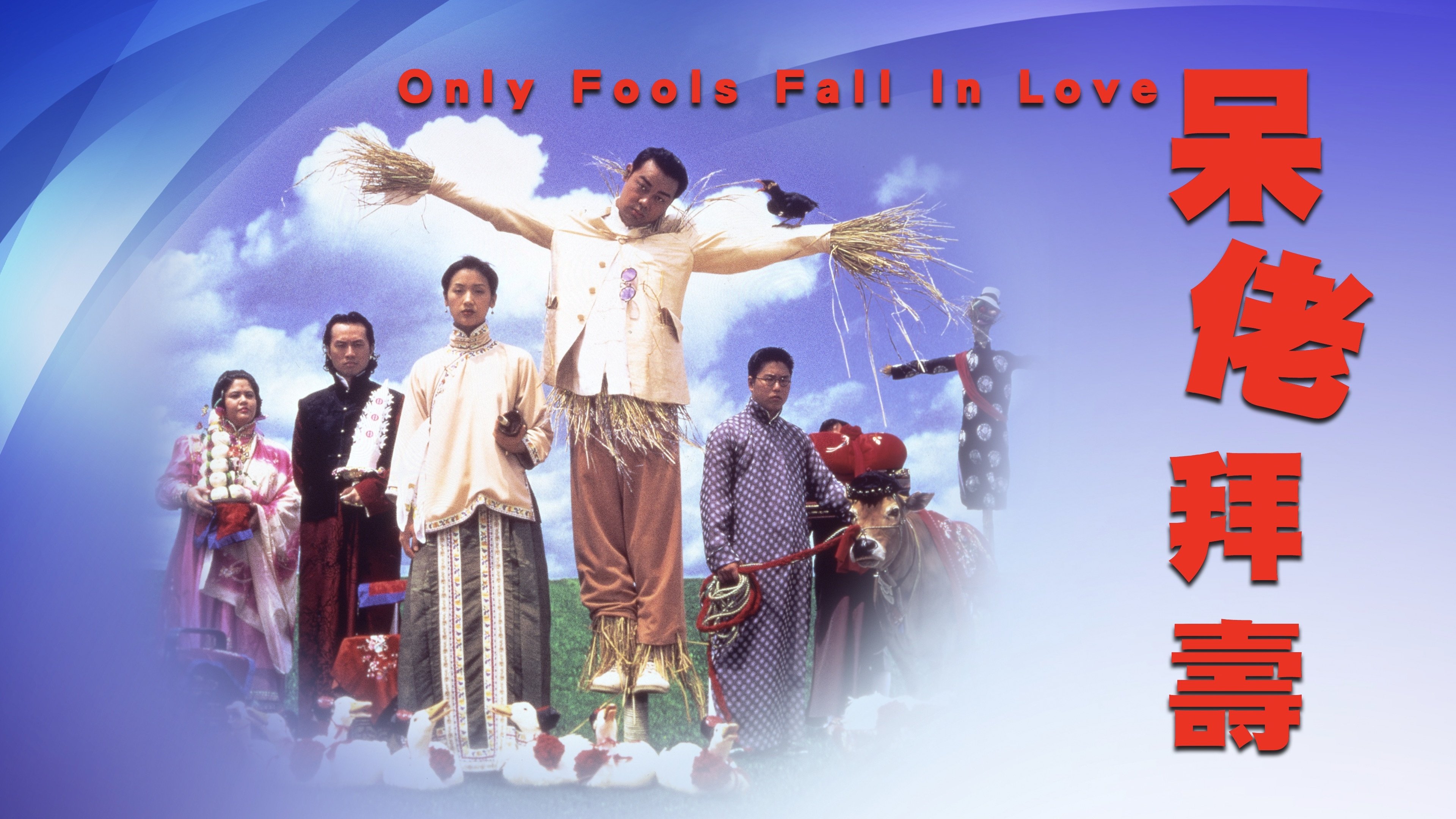 Only Fools Fall in Love