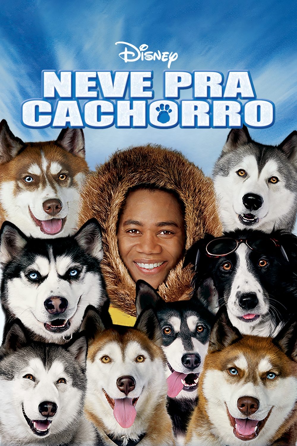 Neve pra Cachorro Neve pra Cachorro