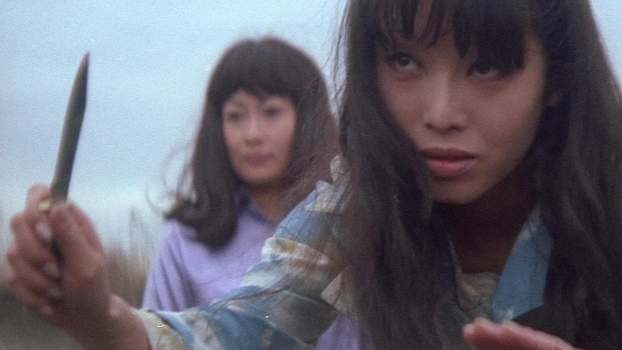 女番長　野良猫ロック (1970)