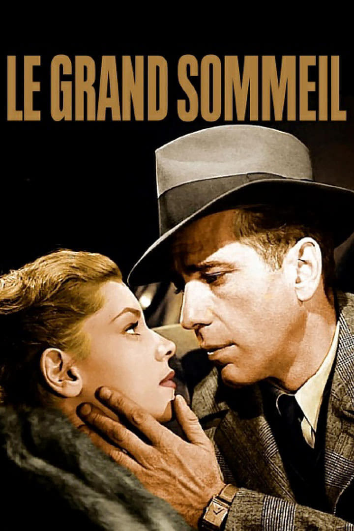 Affiche du film Le Grand Sommeil (Director's Cut) 14299