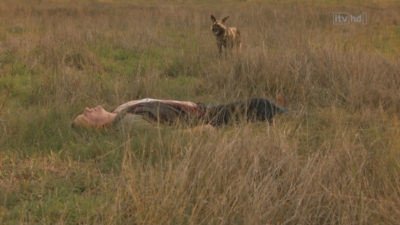 Wild at Heart