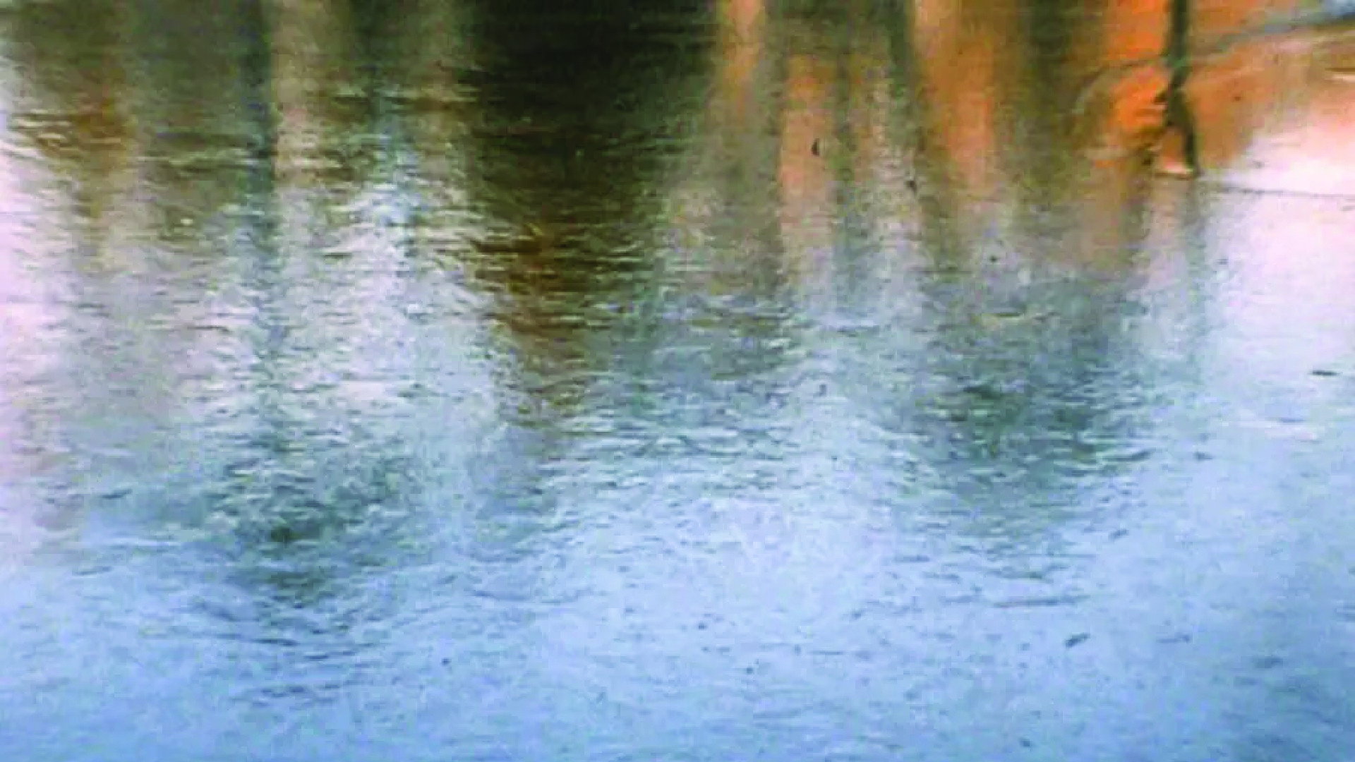Watercolors