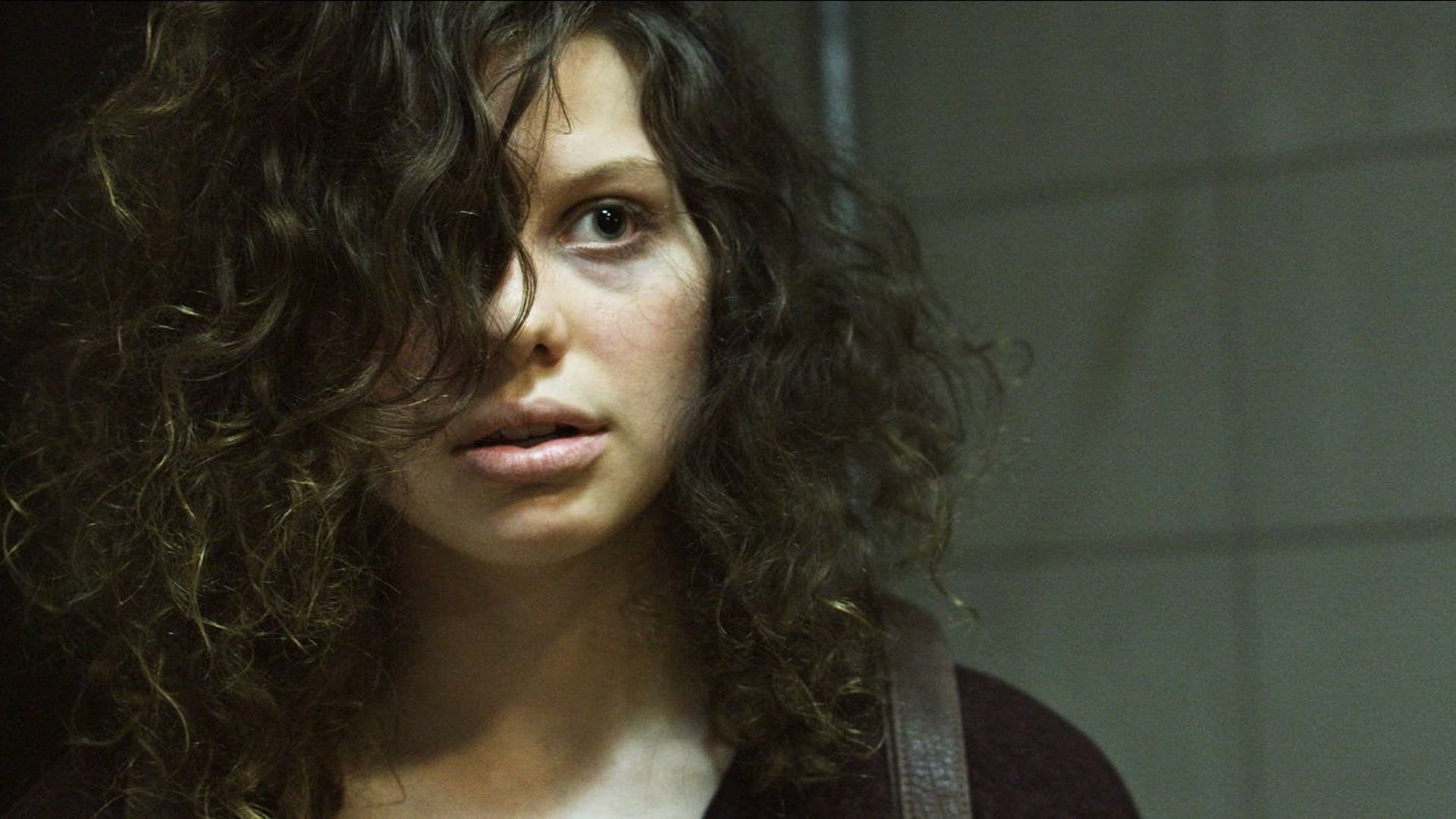 The Transfiguration (2016)