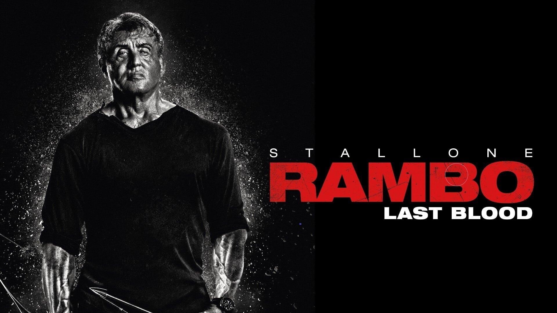 Rambo: Ultima luptă