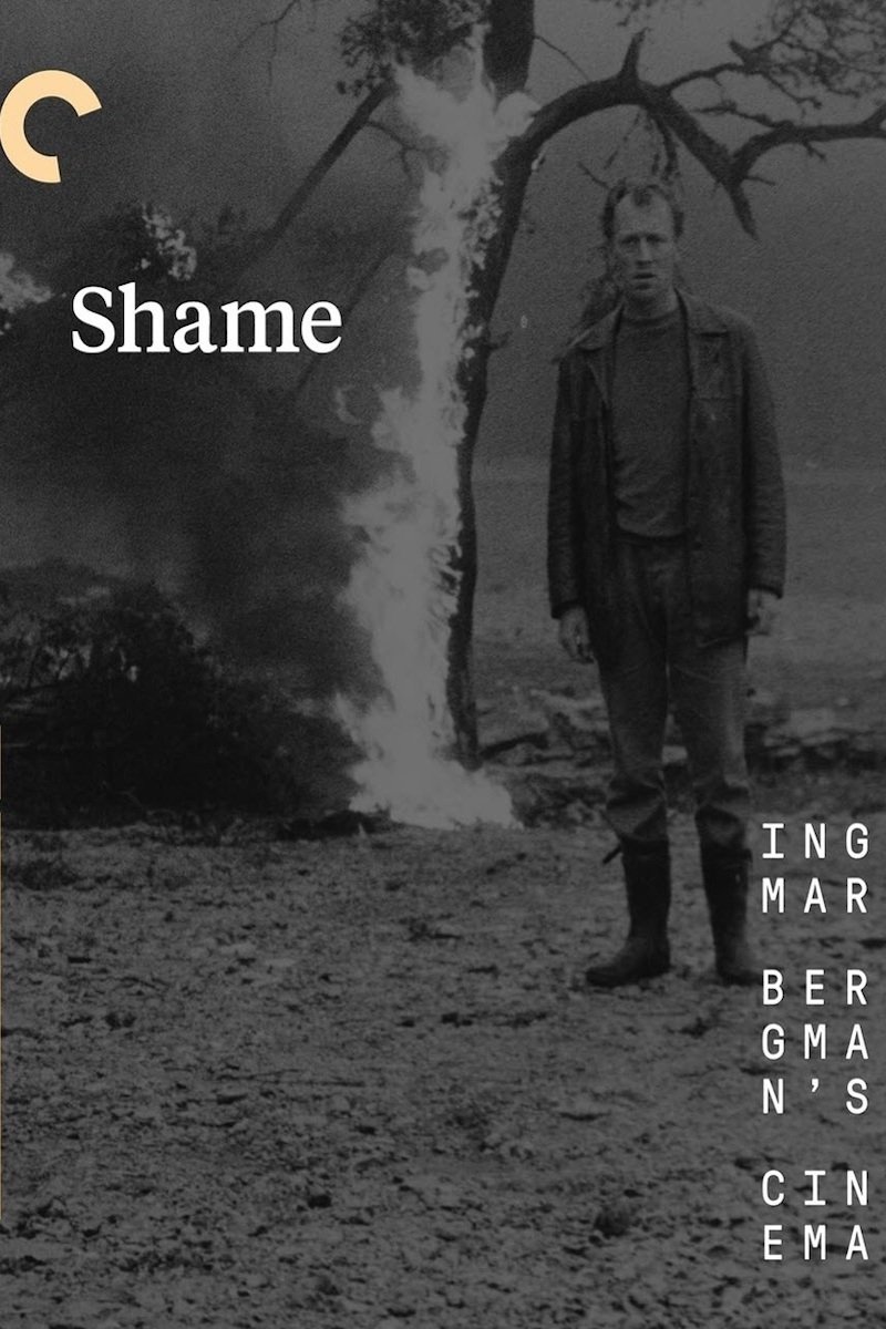 Shame