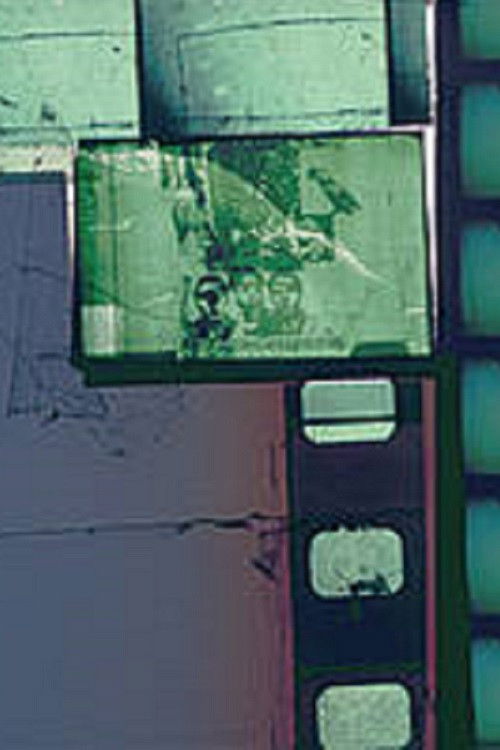 Und sie, sie liebte Raubtiere – tritt auch in den Garten