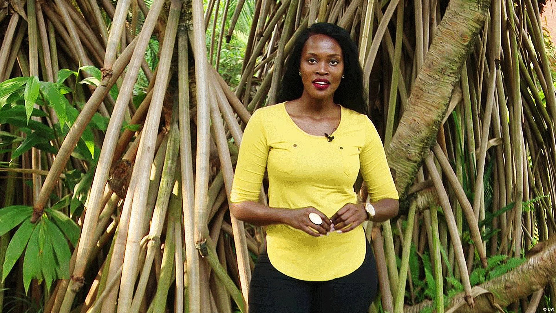 Eco Africa - The Environment Magazine