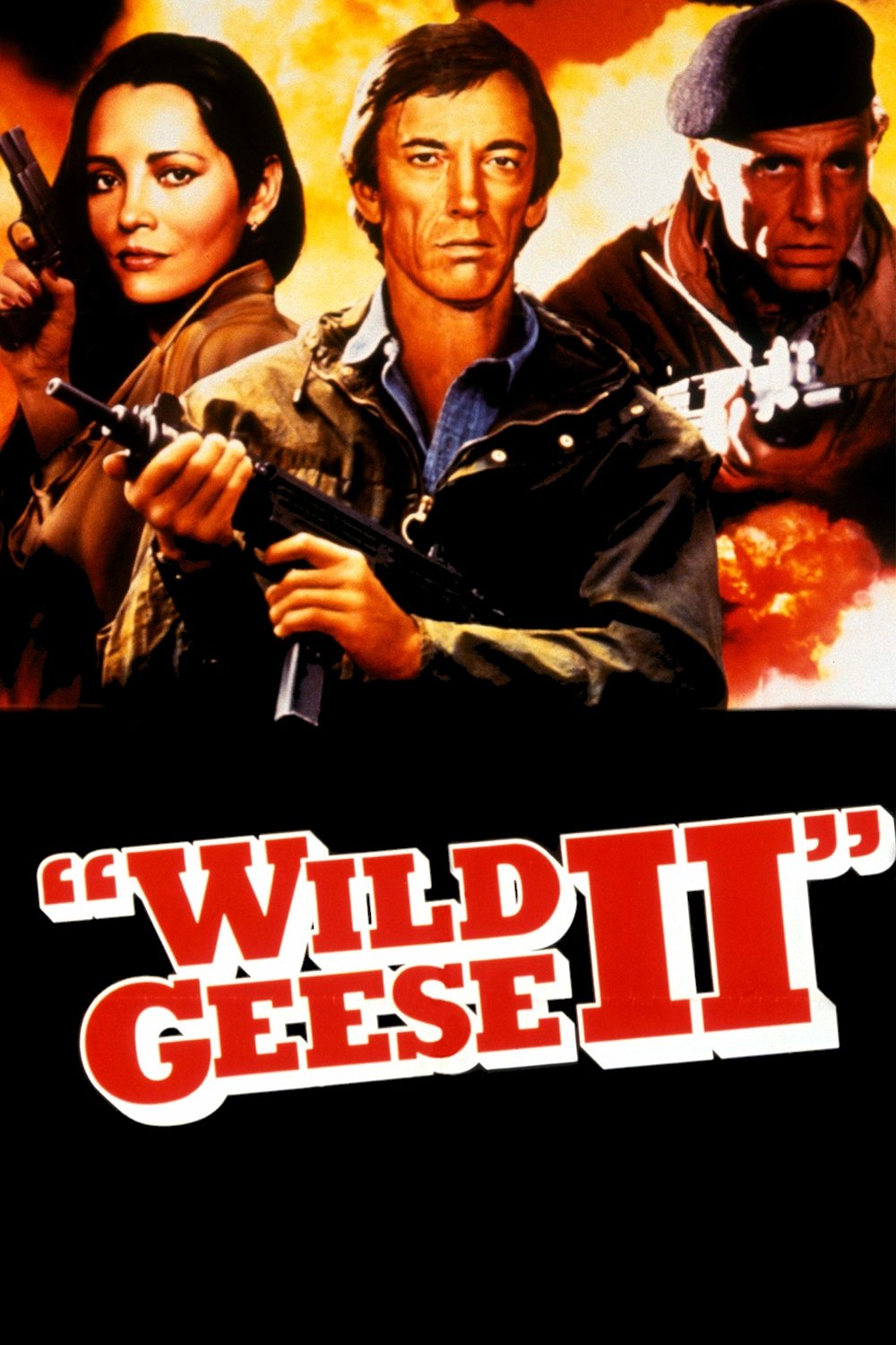 Wild Geese II