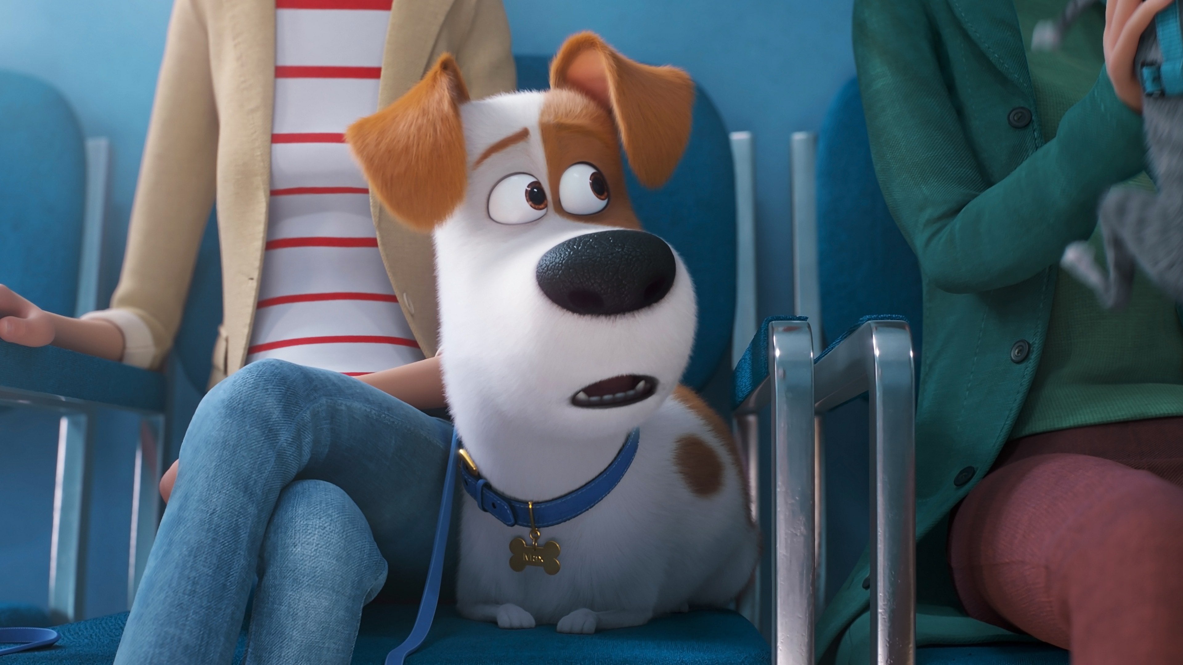 შინაური ცხოველების საიდუმლო ცხოვრება 2 / The Secret Life of Pets 2 ქართულად