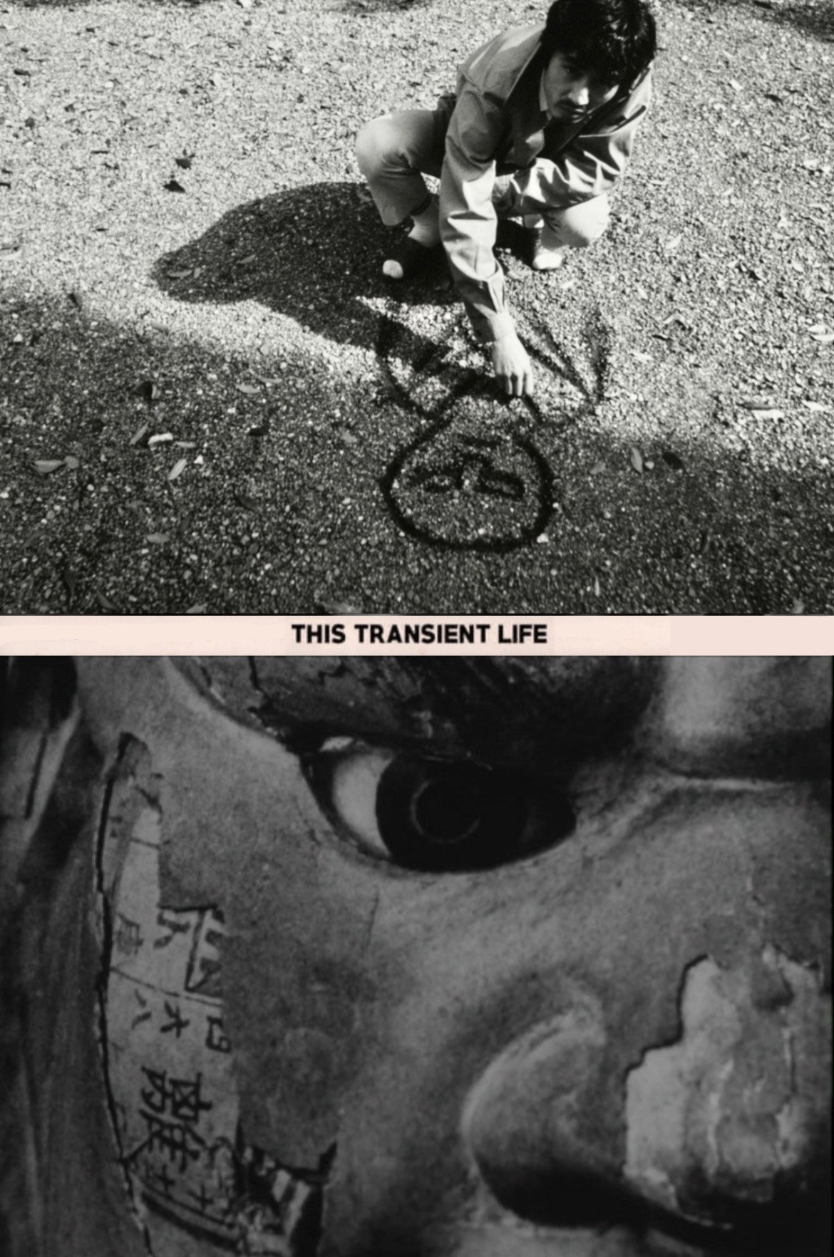 This Transient Life