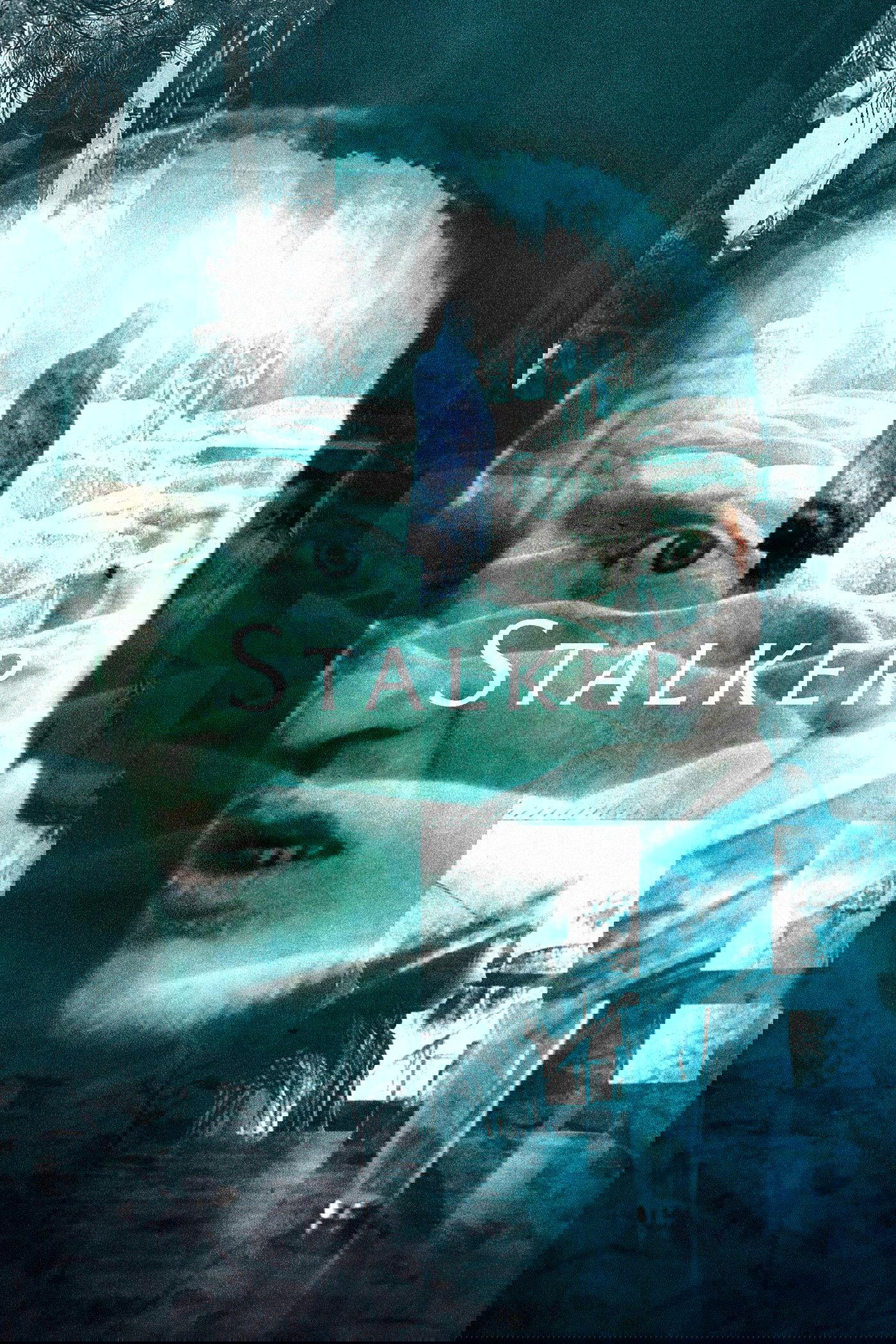 Stalker