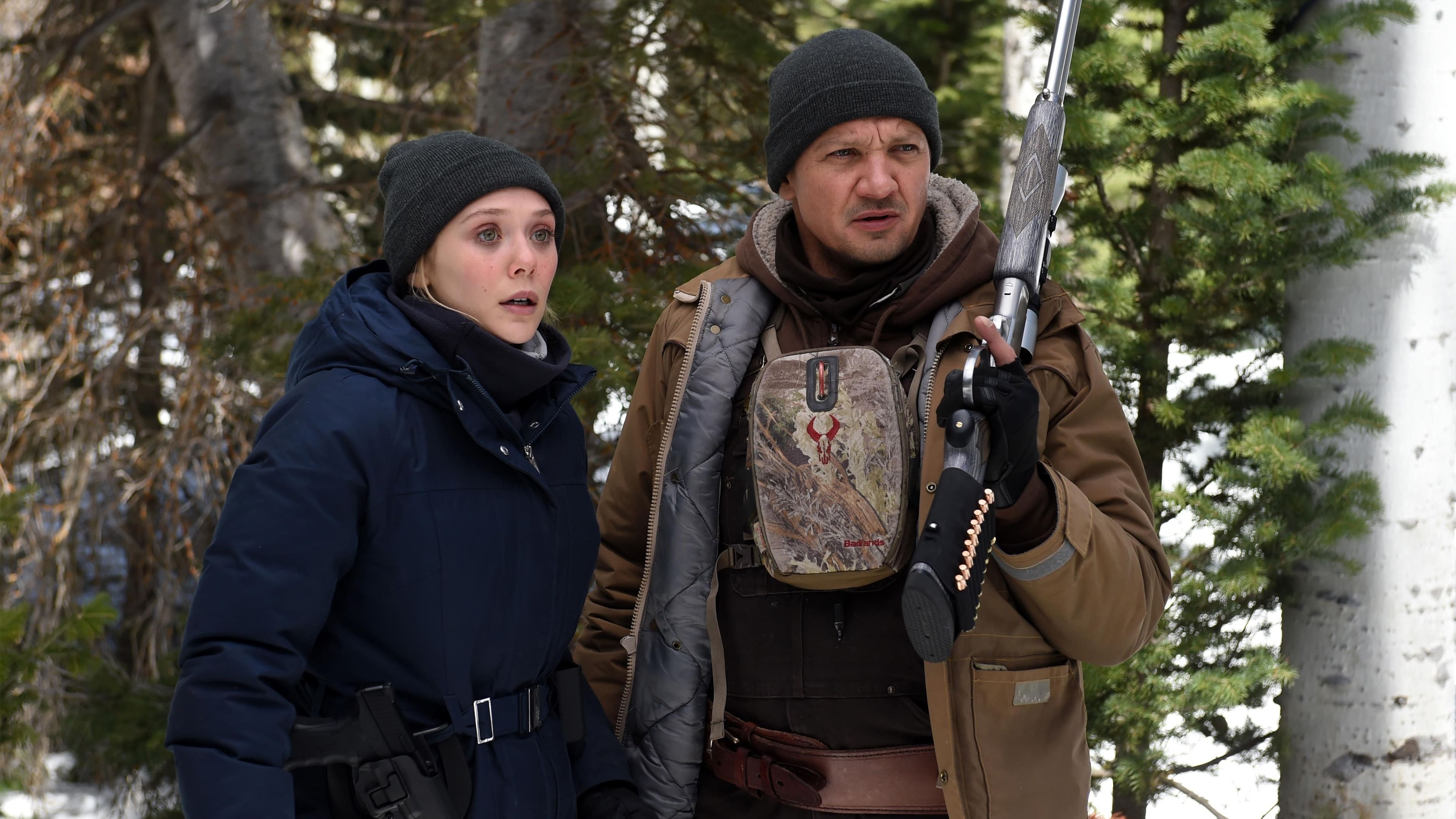 Wind River (2017)