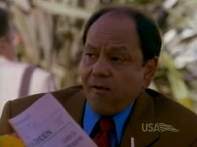 Nash Bridges
