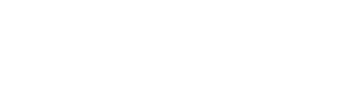 Search Logo