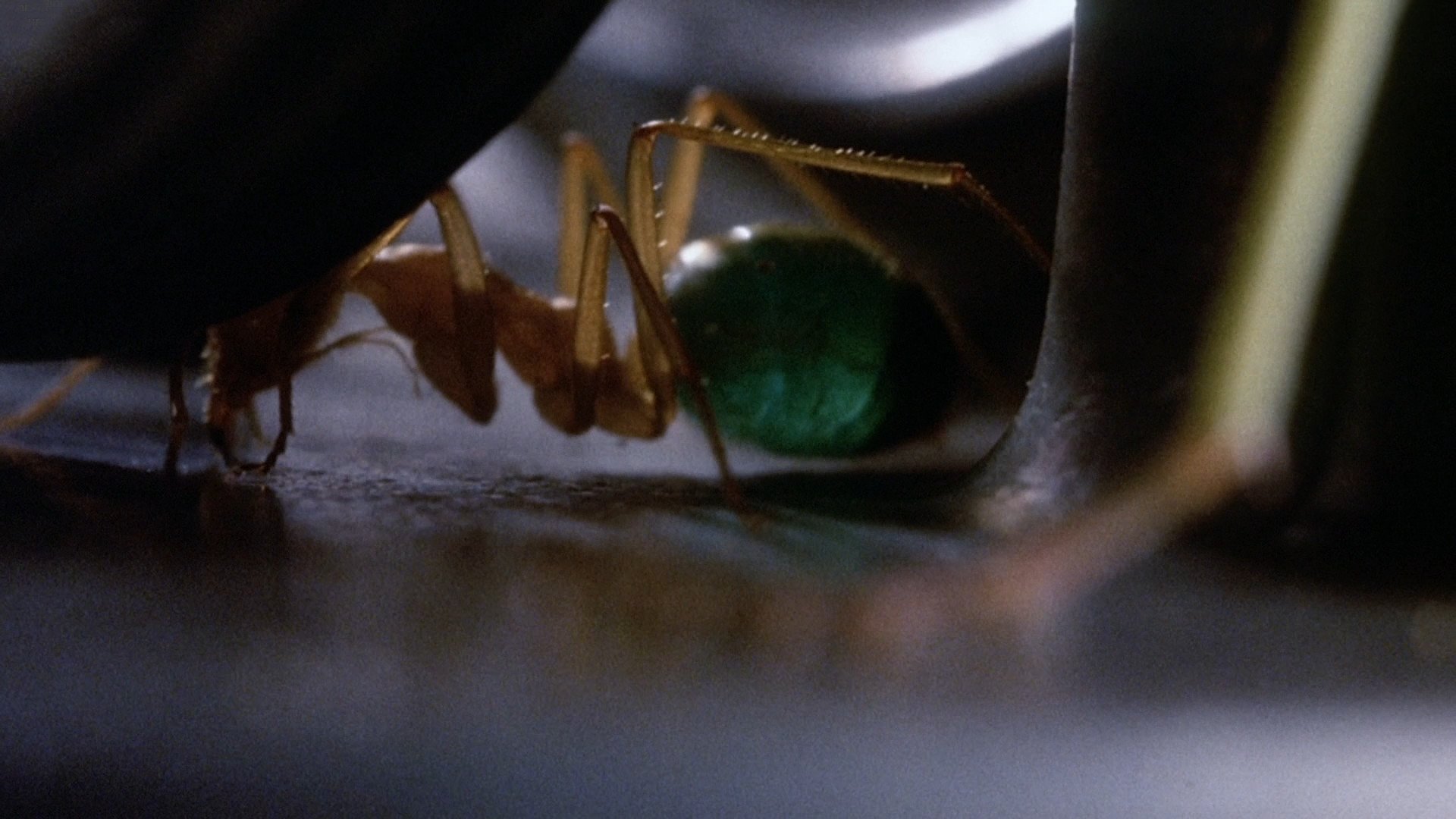 Phase IV (1974)