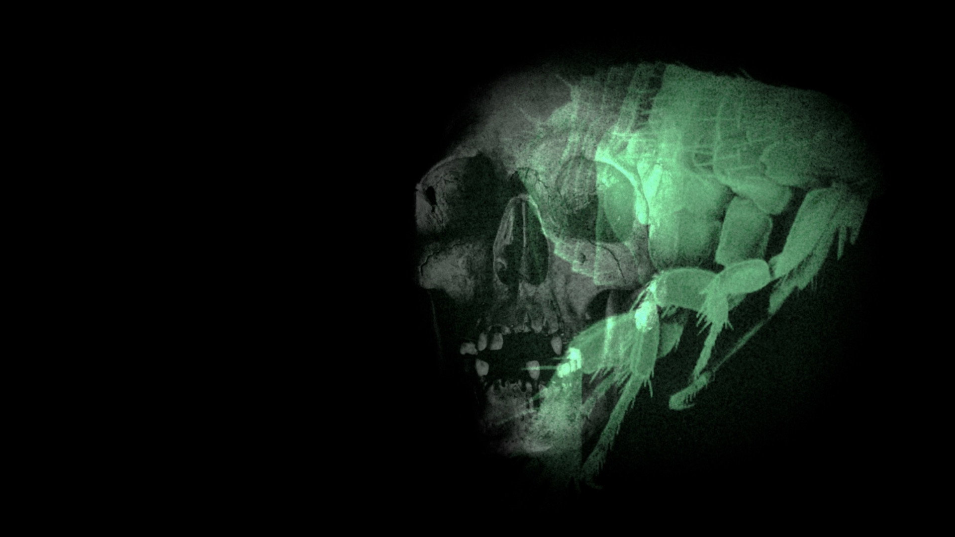 Purgatory for Epiphanea